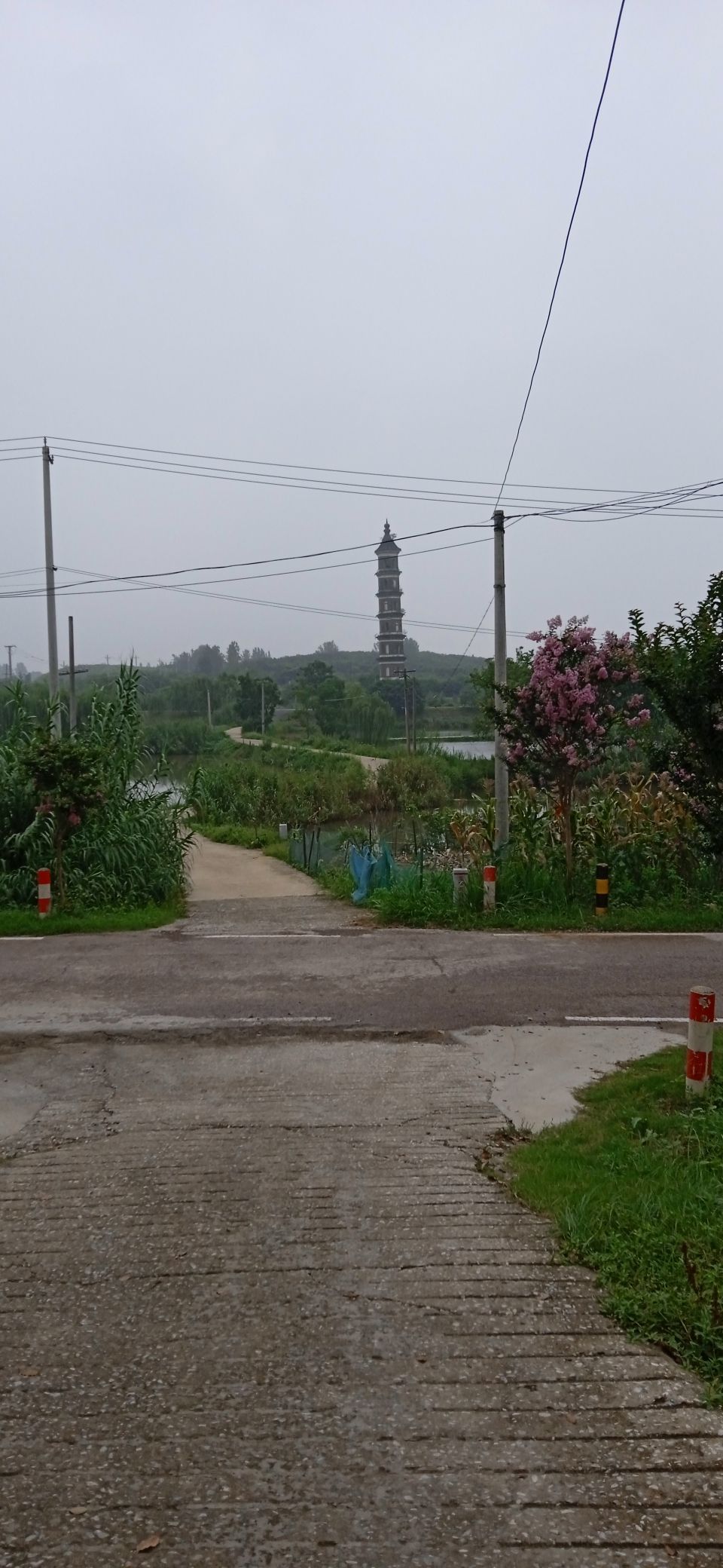 振湖塔旅行图片 2