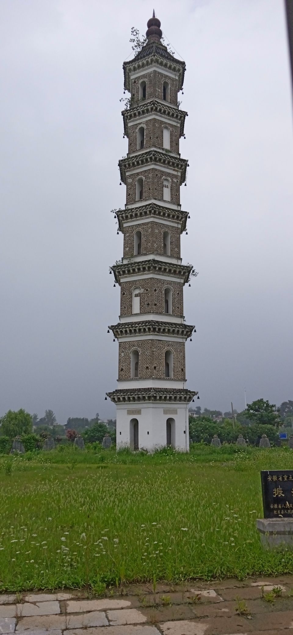 振湖塔旅行图片 1