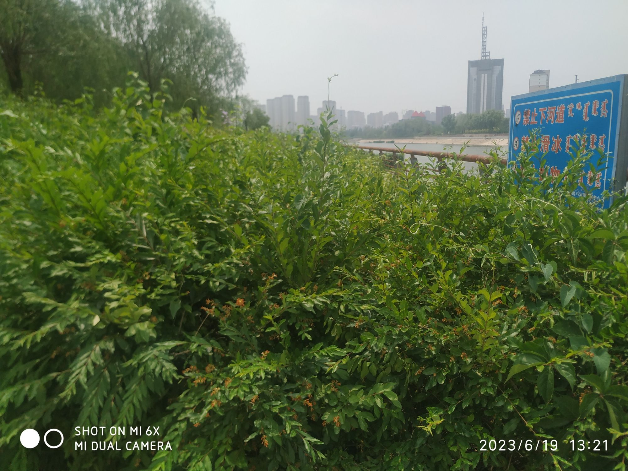呼和浩特市赛罕区小黑河景观带旅行图片 3