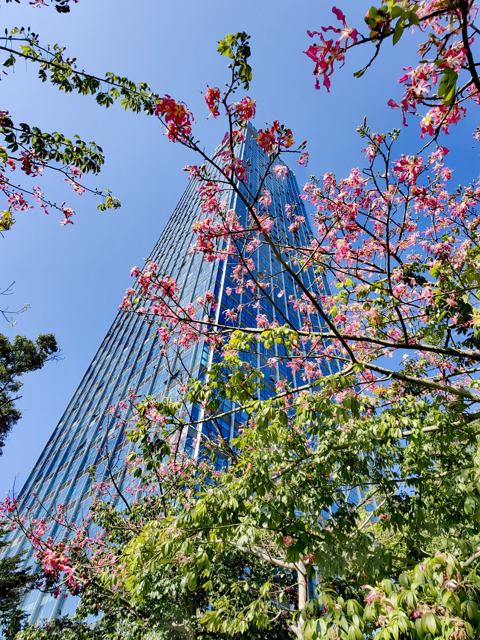 广州国际港航中心