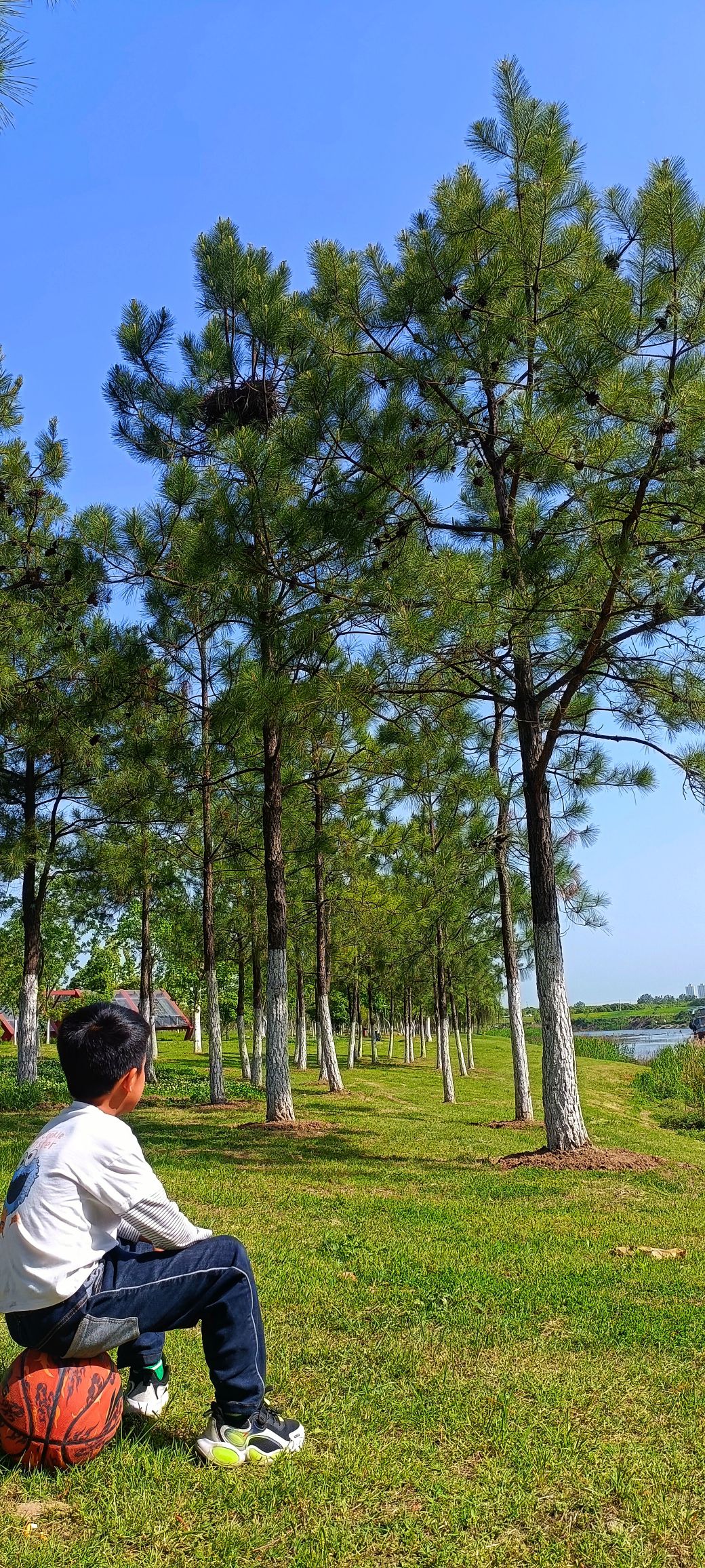 瑶海区滨河公园旅行图片 3