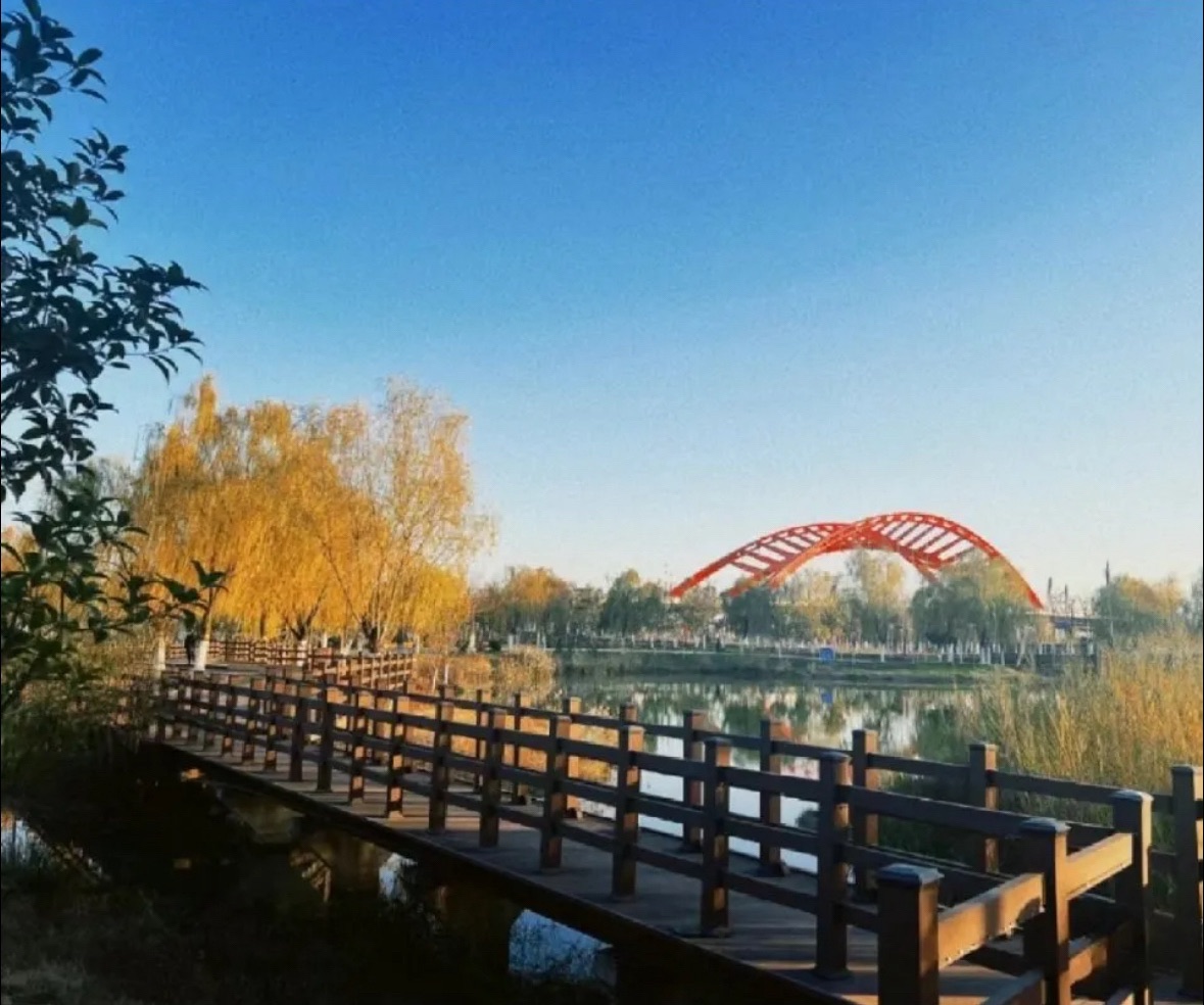 瑶海区滨河公园旅行图片 3