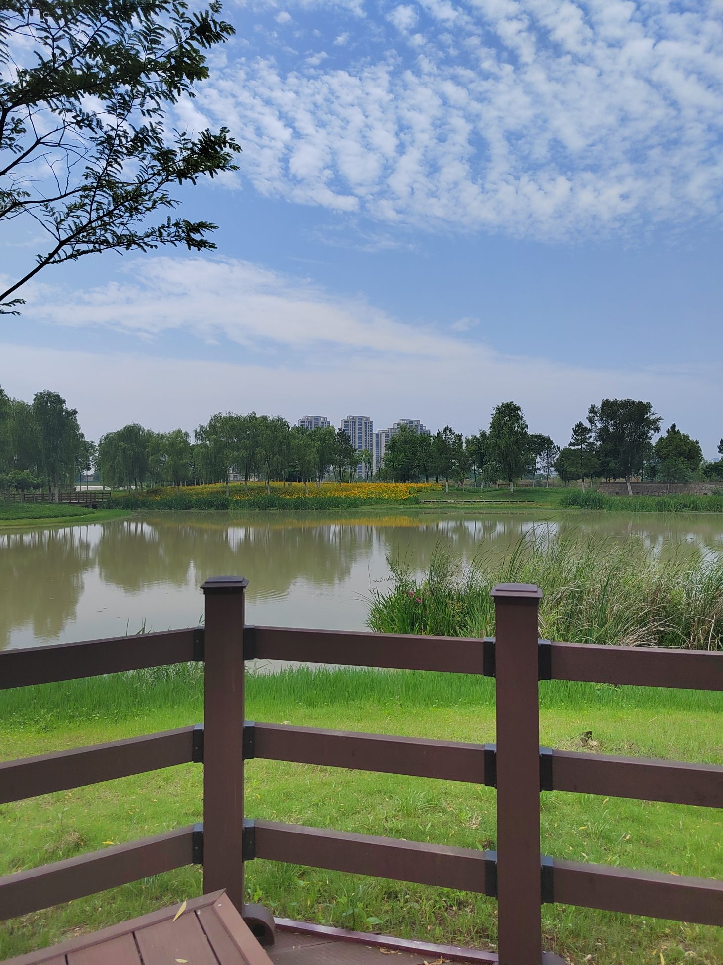 瑶海区滨河公园旅行图片 2