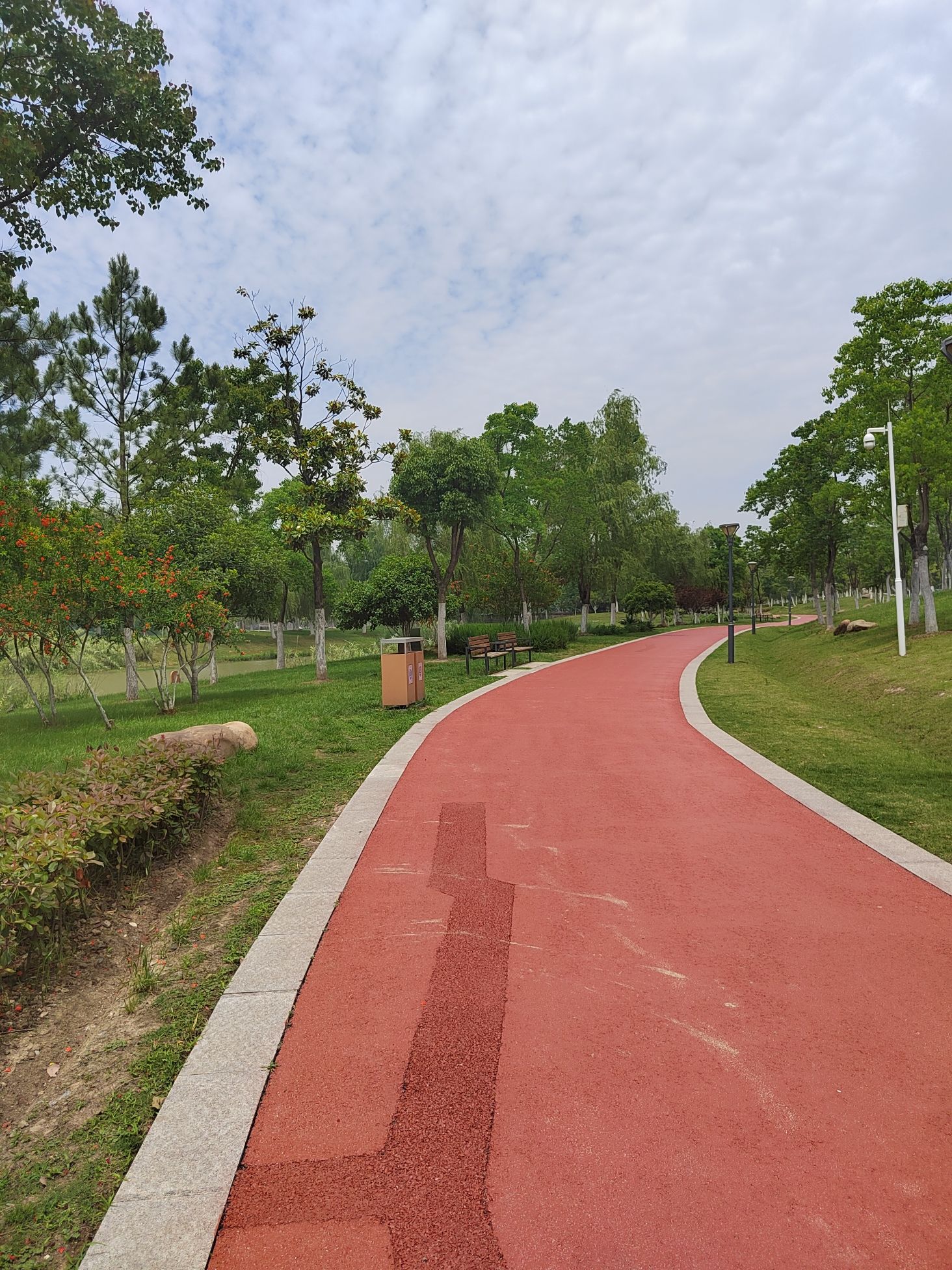 瑶海区滨河公园旅行图片 1