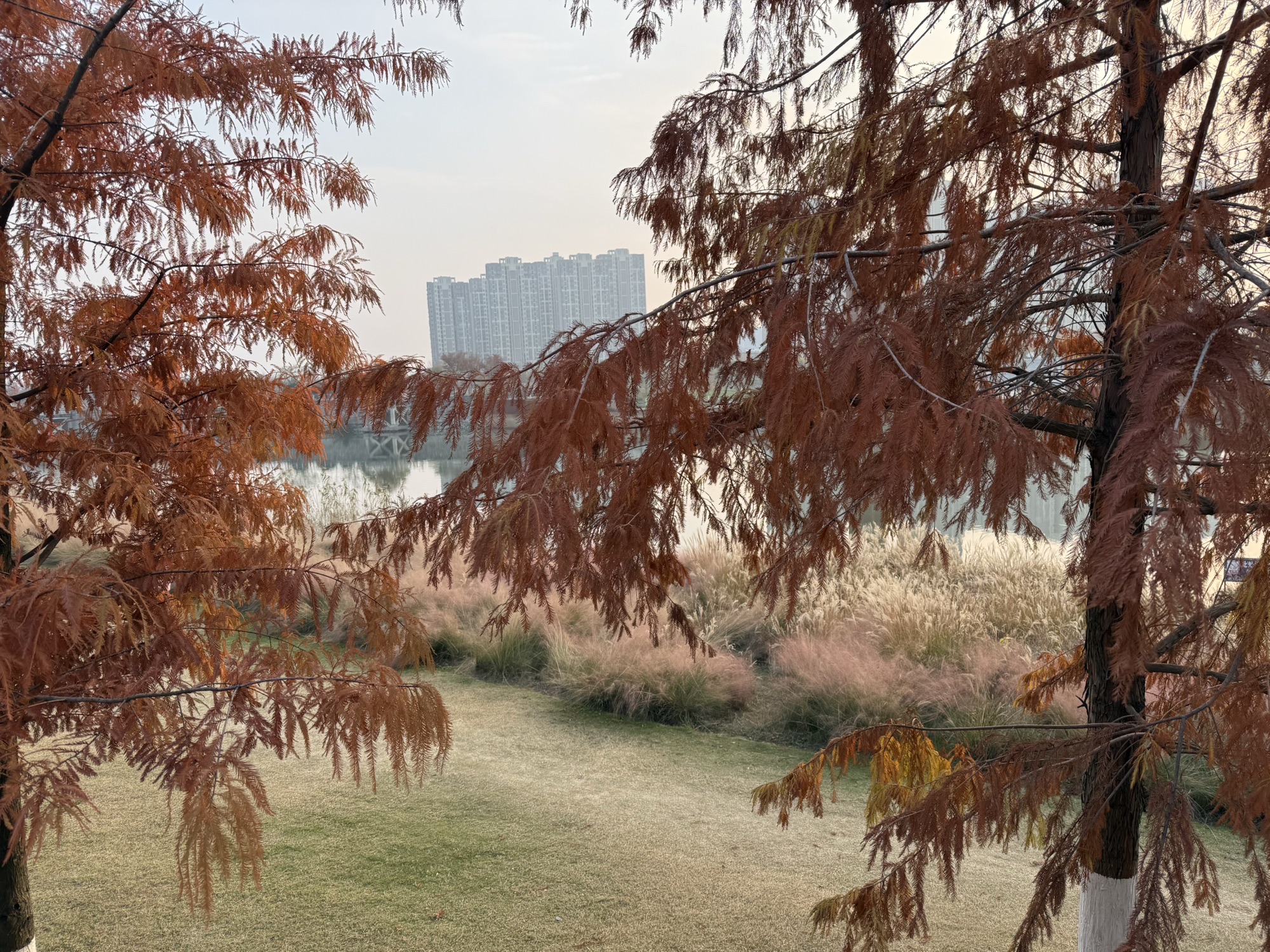 瑶海区滨河公园旅行图片 2