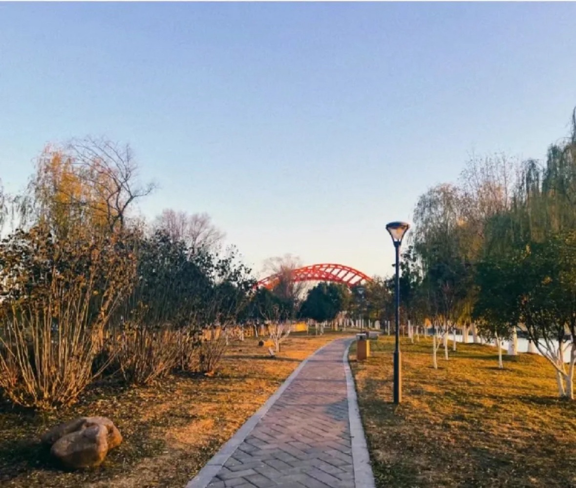 瑶海区滨河公园旅行图片 2