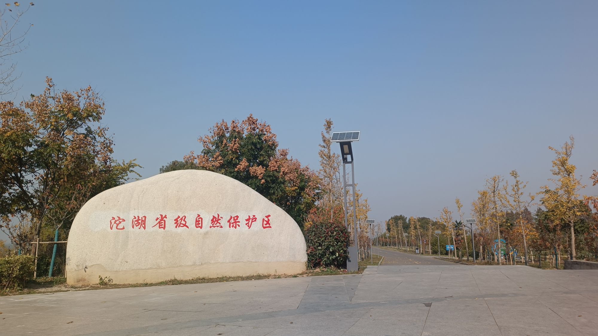 五河县沱湖湿地风景区