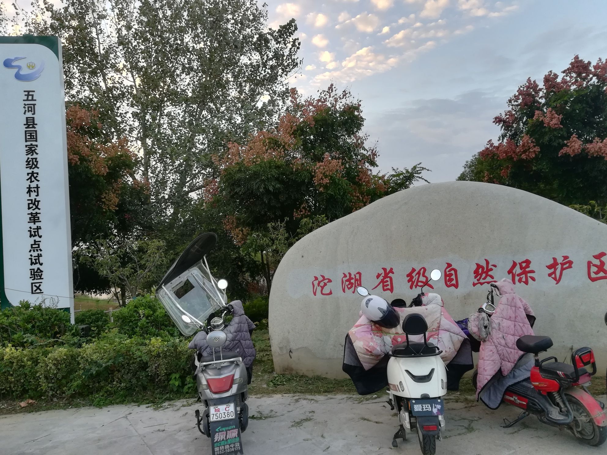 五河县沱湖湿地风景区旅行图片 3