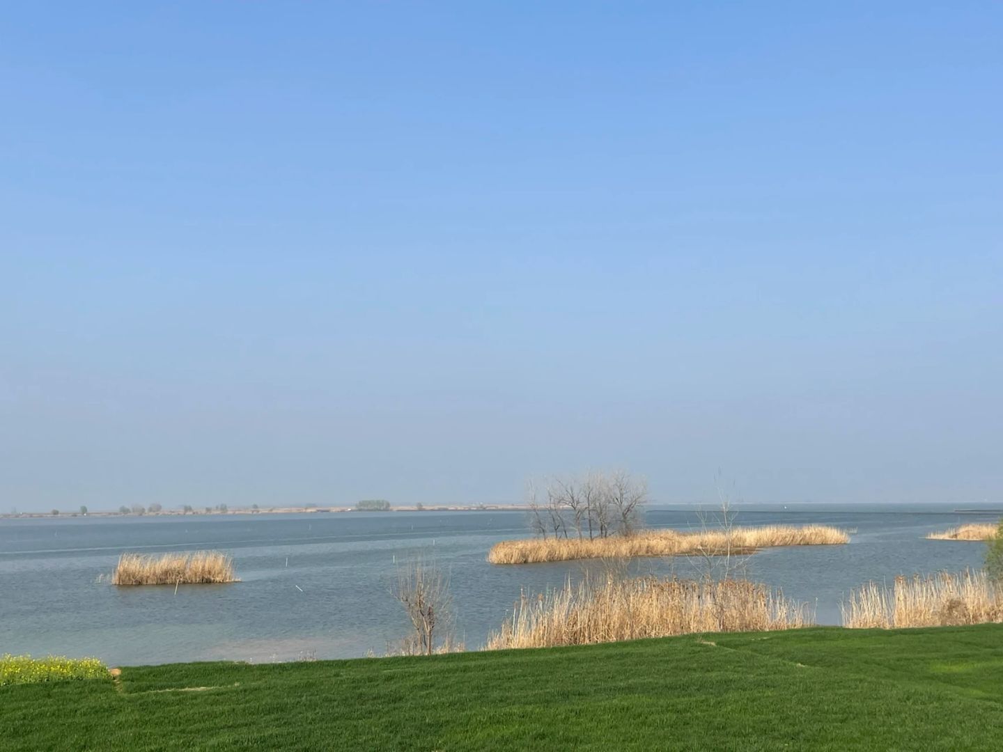 五河县沱湖湿地风景区旅行图片 1