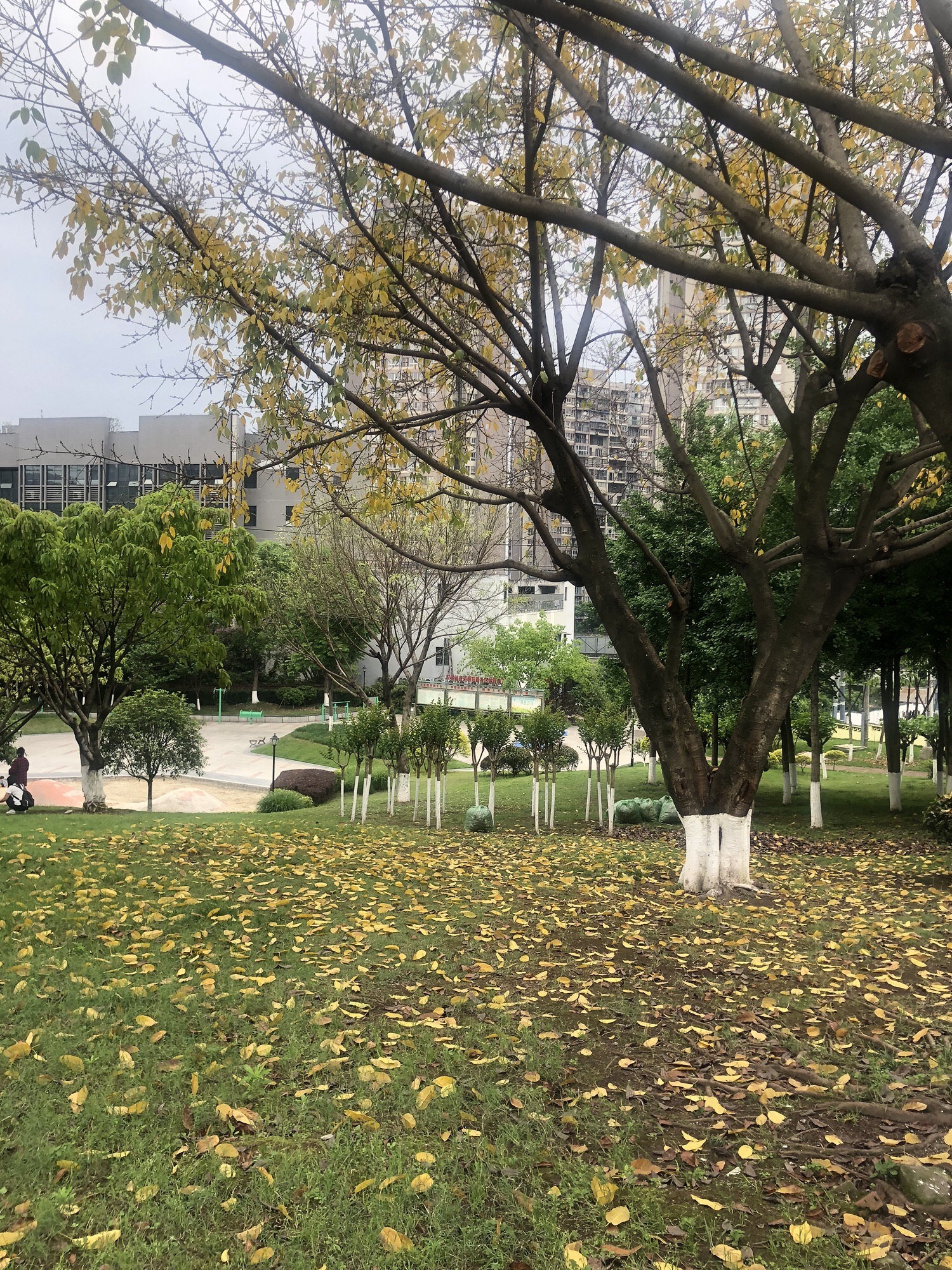 朝阳公园旅行图片 1