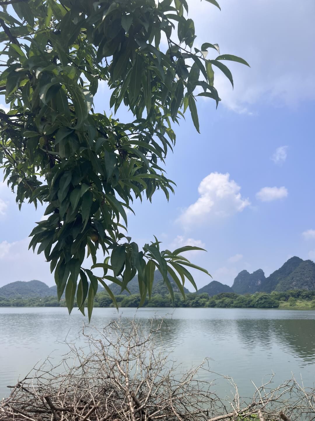 千亩湖旅行图片 2