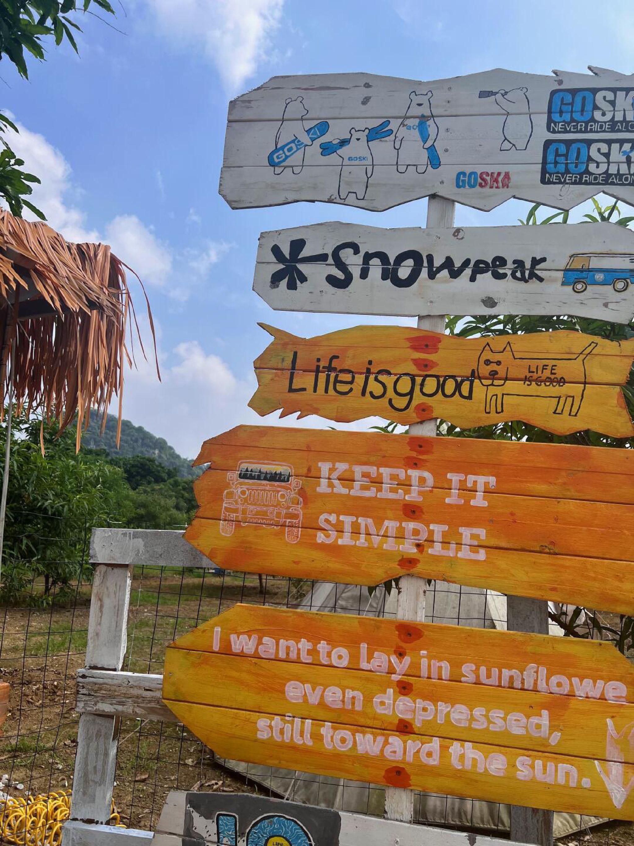 千亩湖旅行图片 1