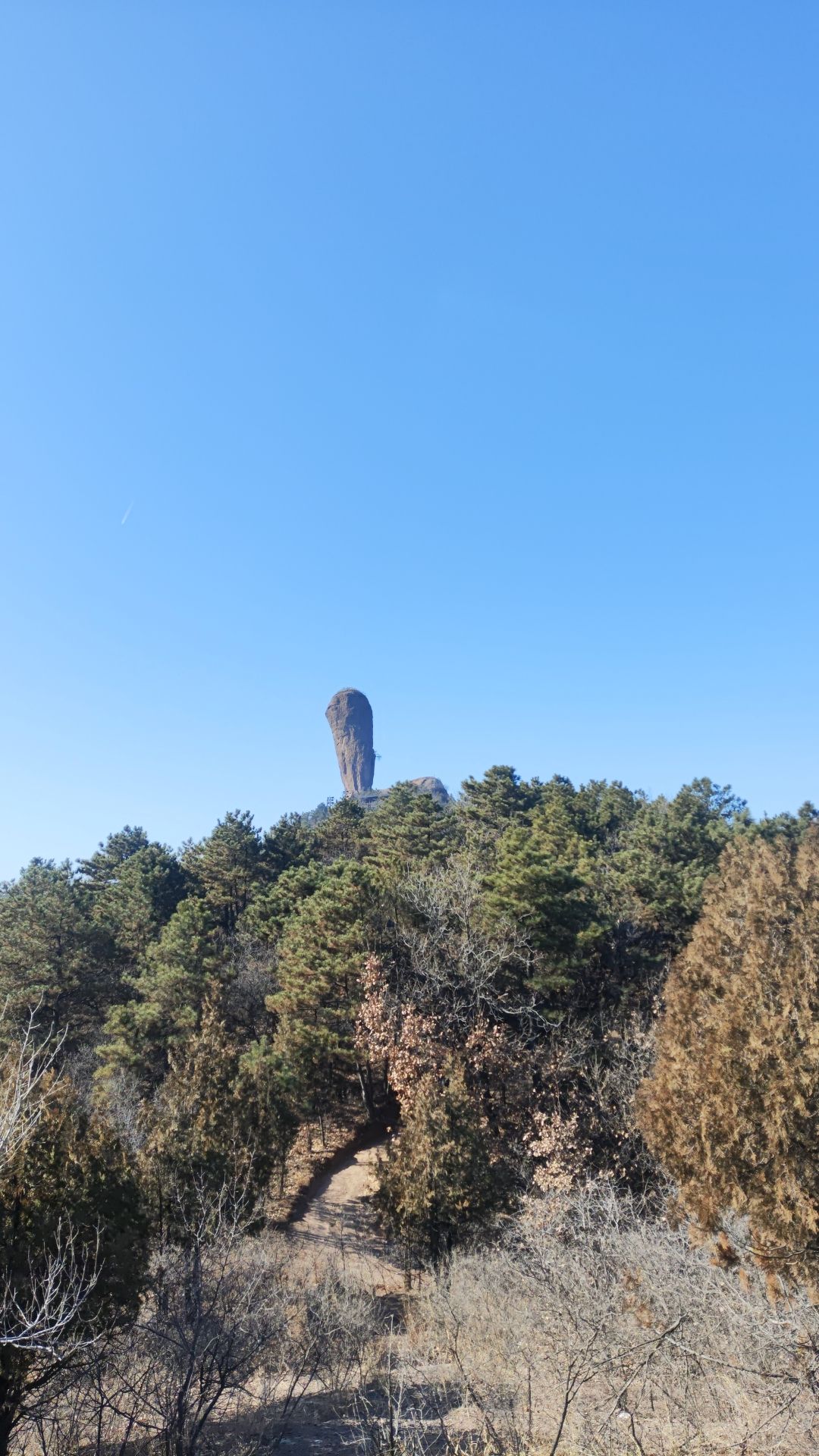 磬锤峰国家森林公园-蛤蟆石