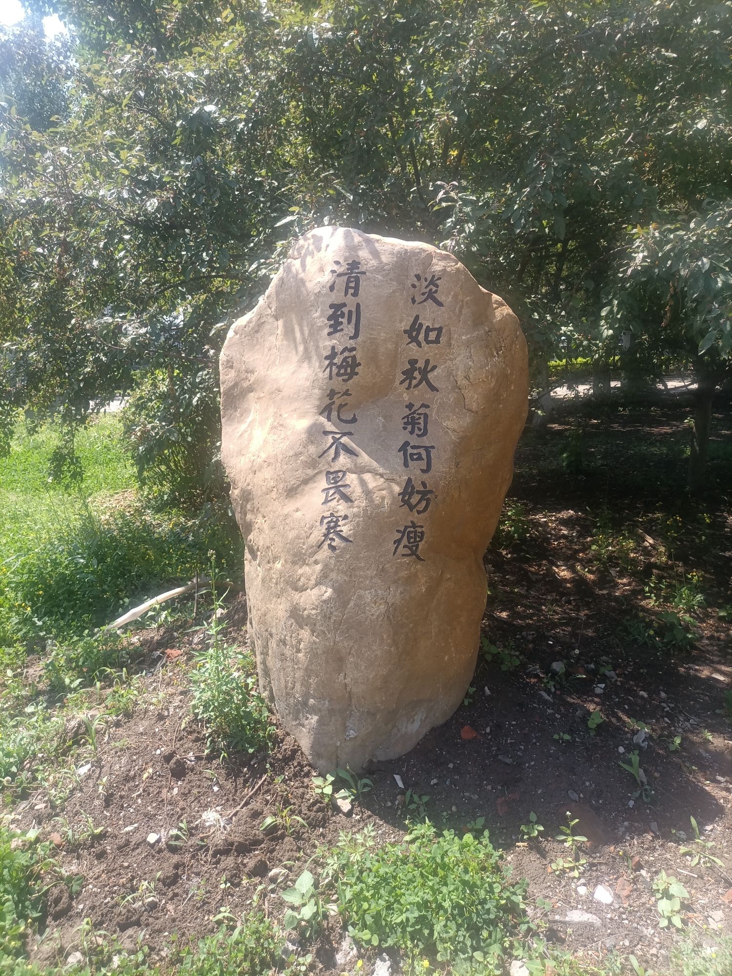 皇姑英雄公园旅行图片 3