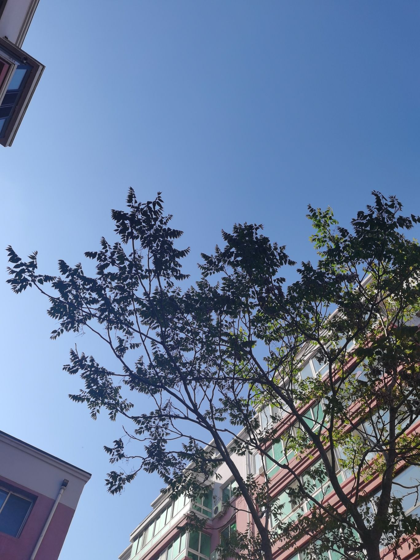 皇姑英雄公园旅行图片 3