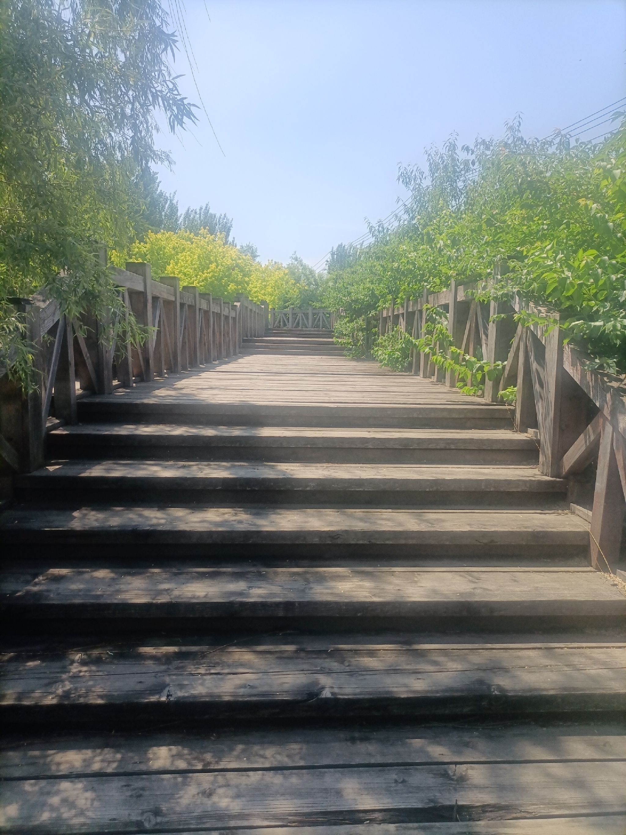 皇姑英雄公园旅行图片 1