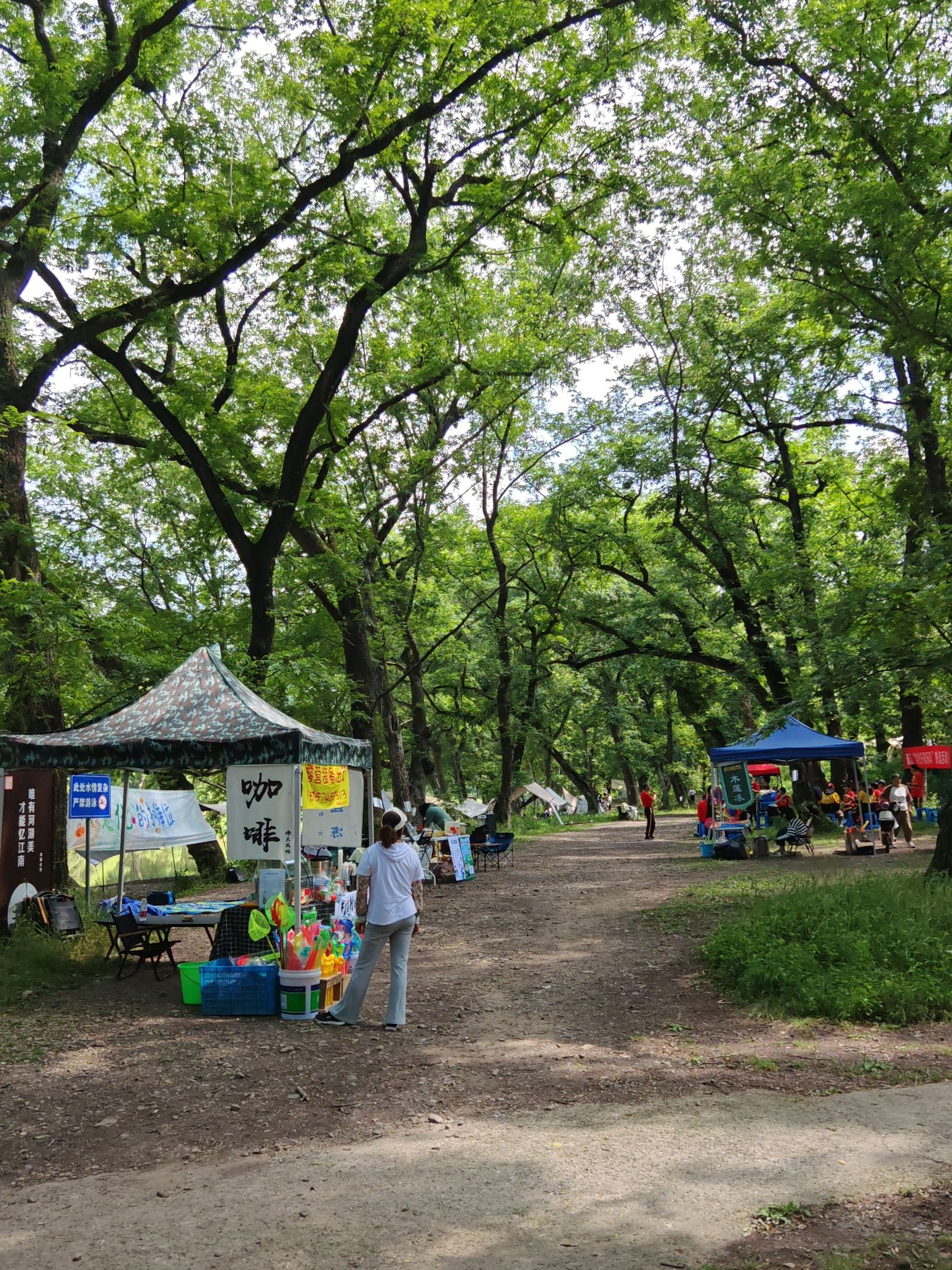 晴江岸旅行图片 2