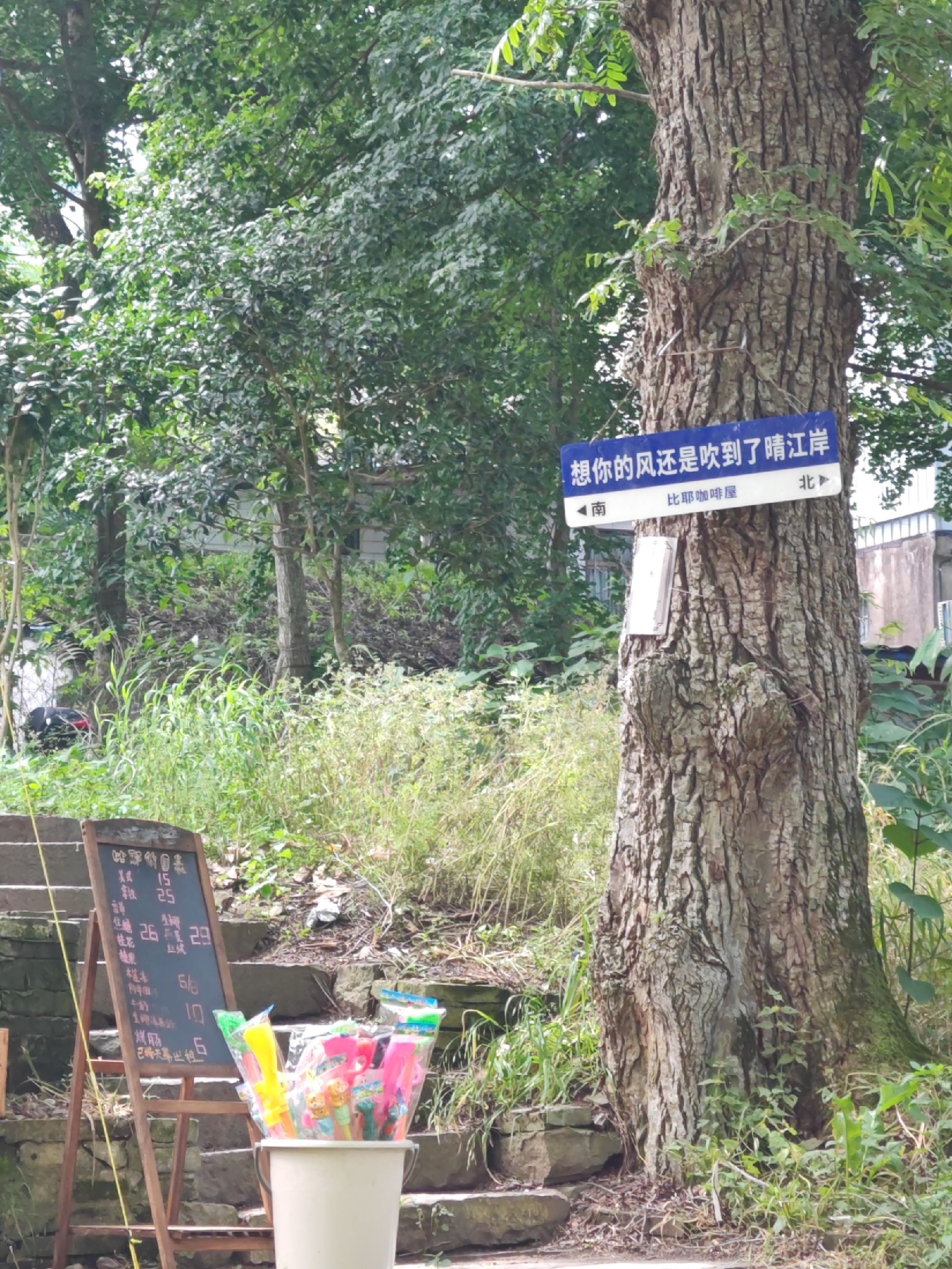 晴江岸旅行图片 1