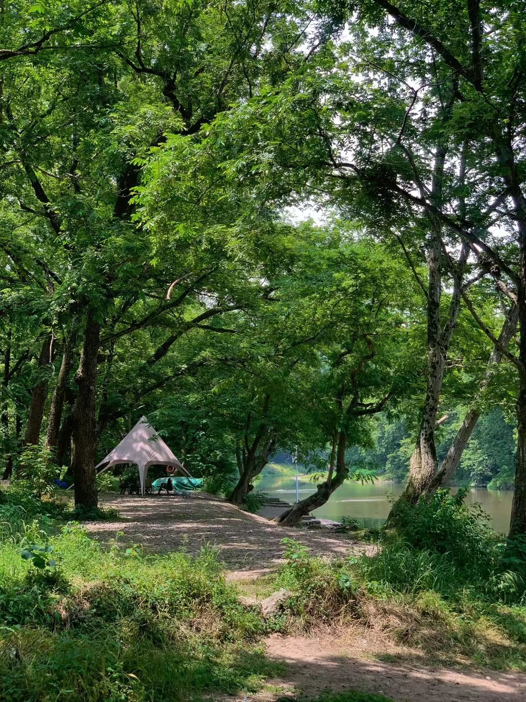 晴江岸旅行图片 3