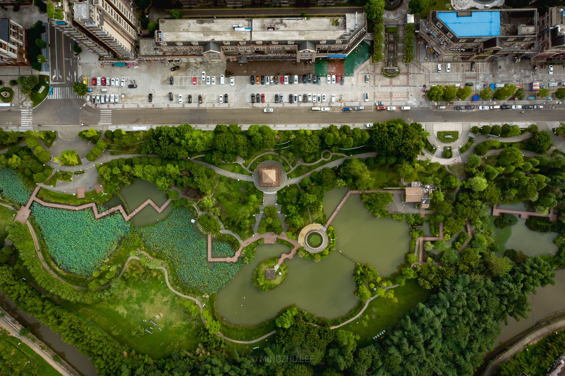 白鹭湿地公园旅行图片 1