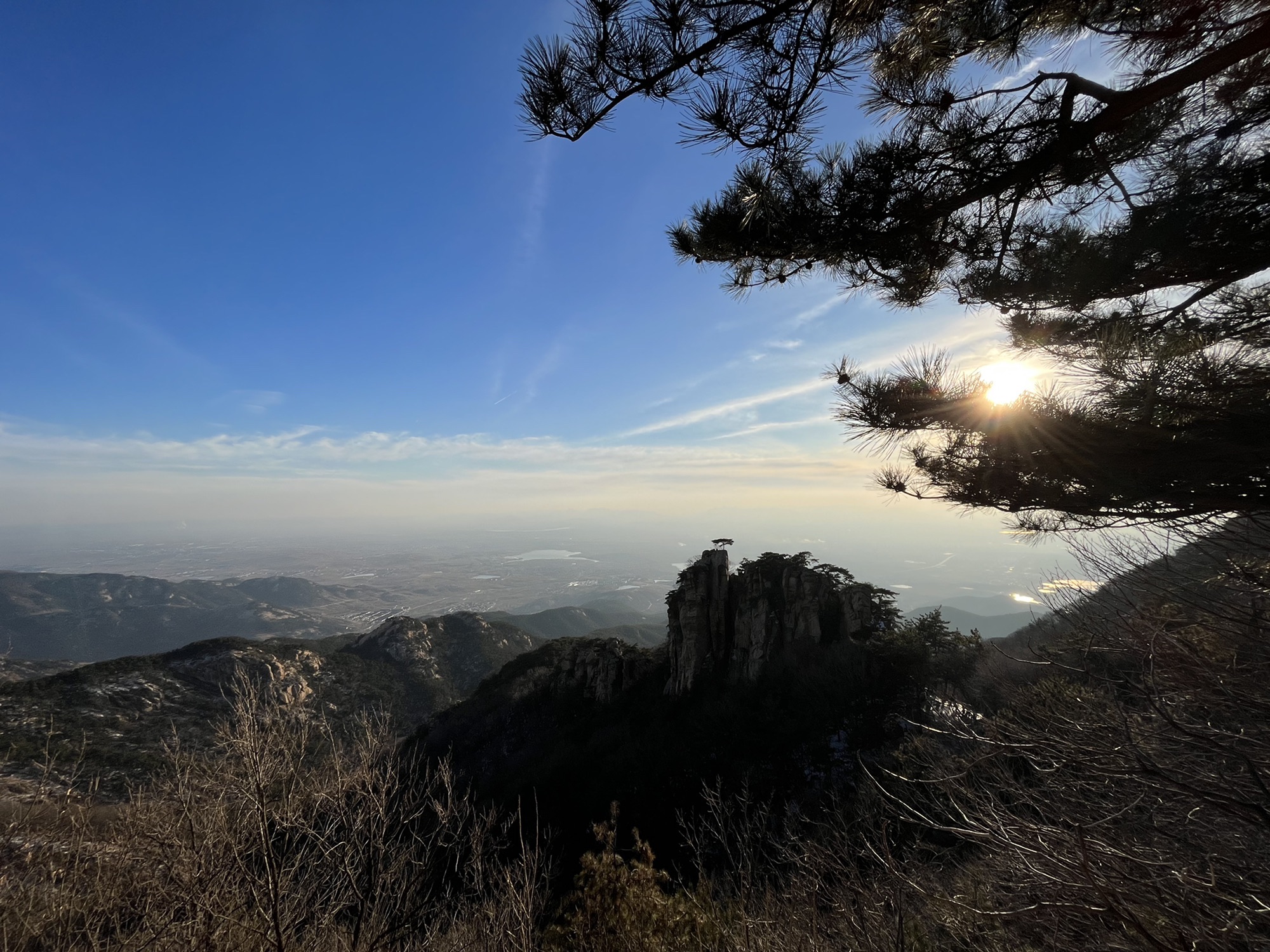蒙山寿星旅行图片 1