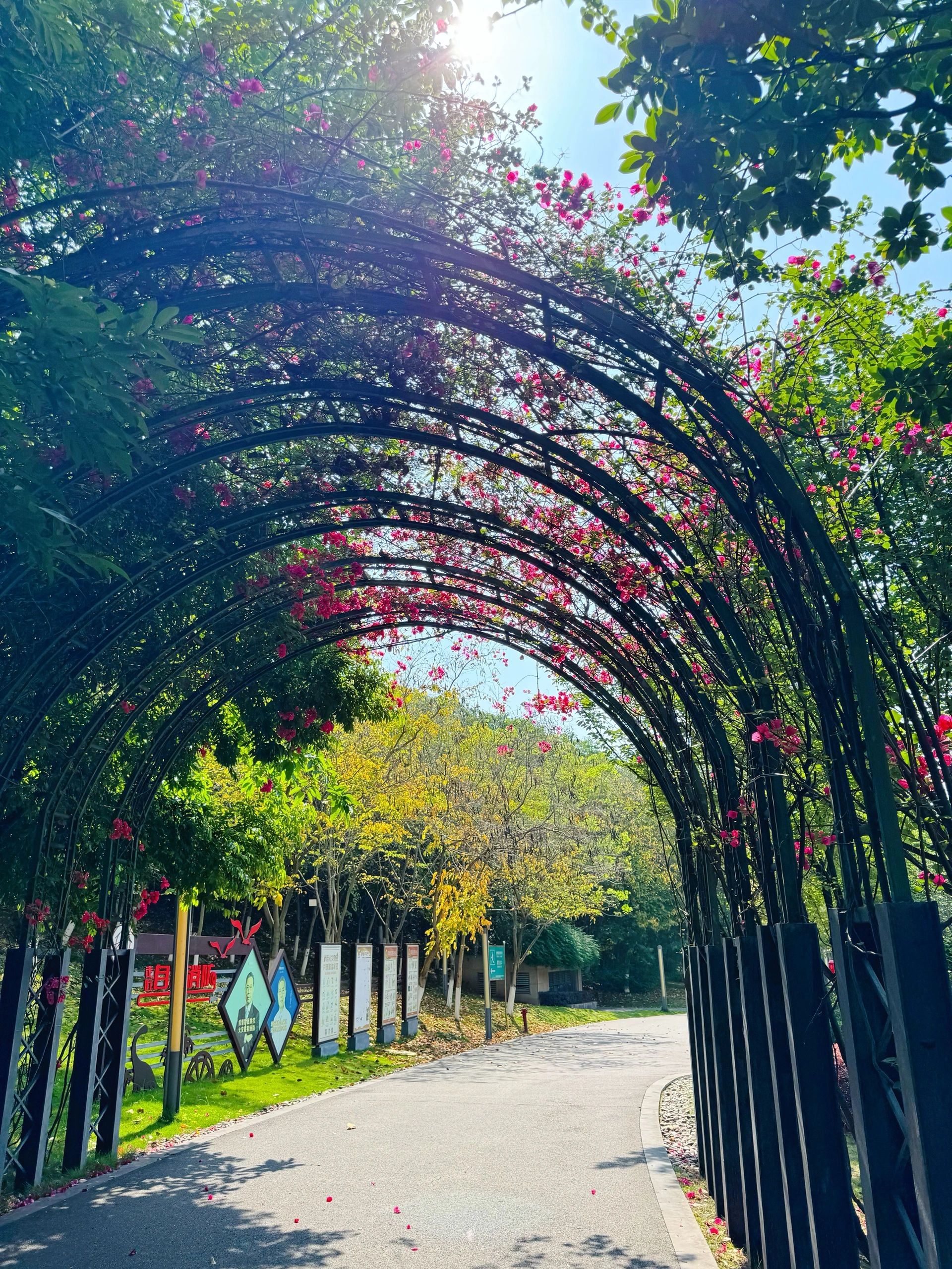 汇东公园旅行图片 1