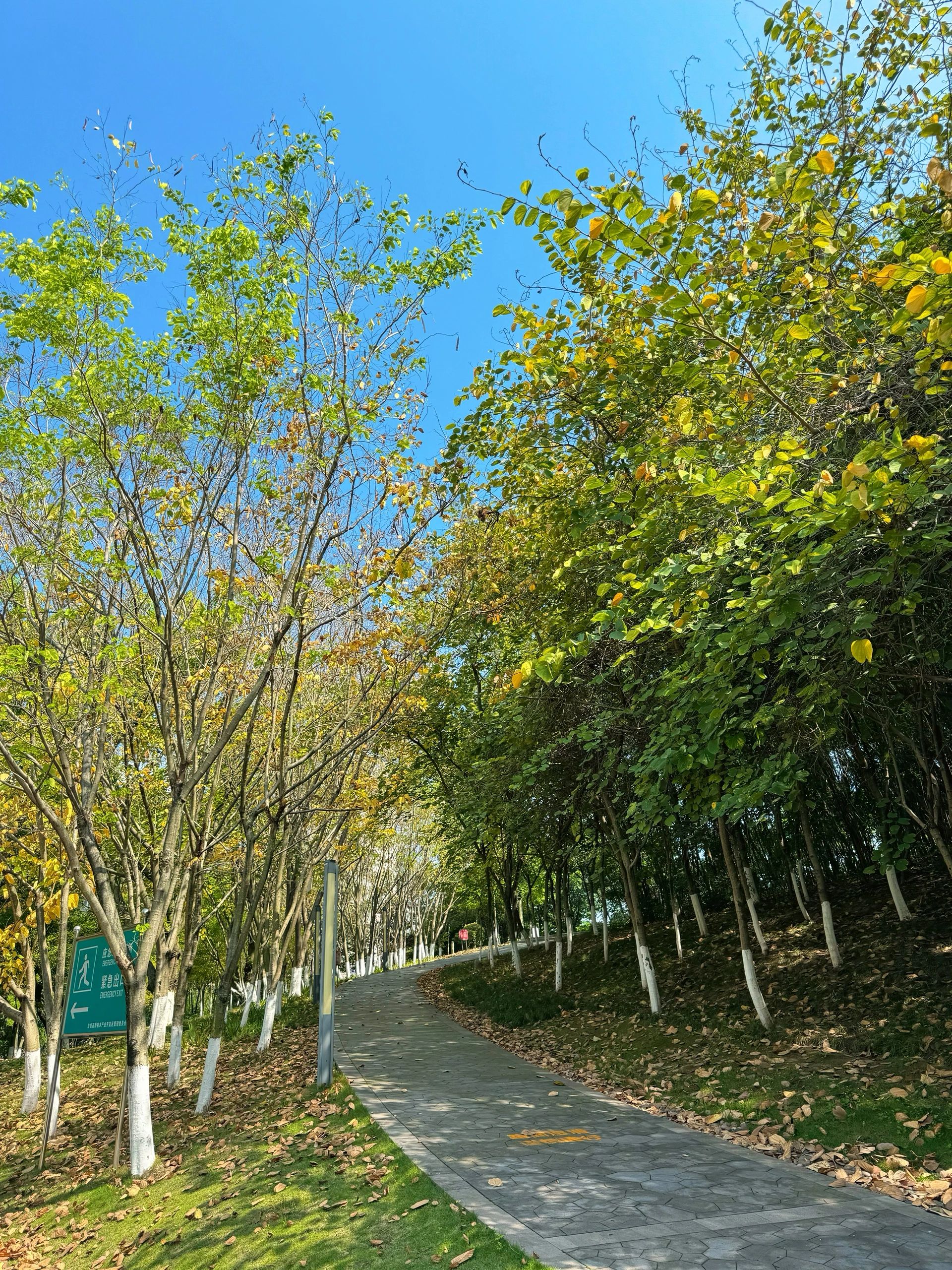 汇东公园旅行图片 3