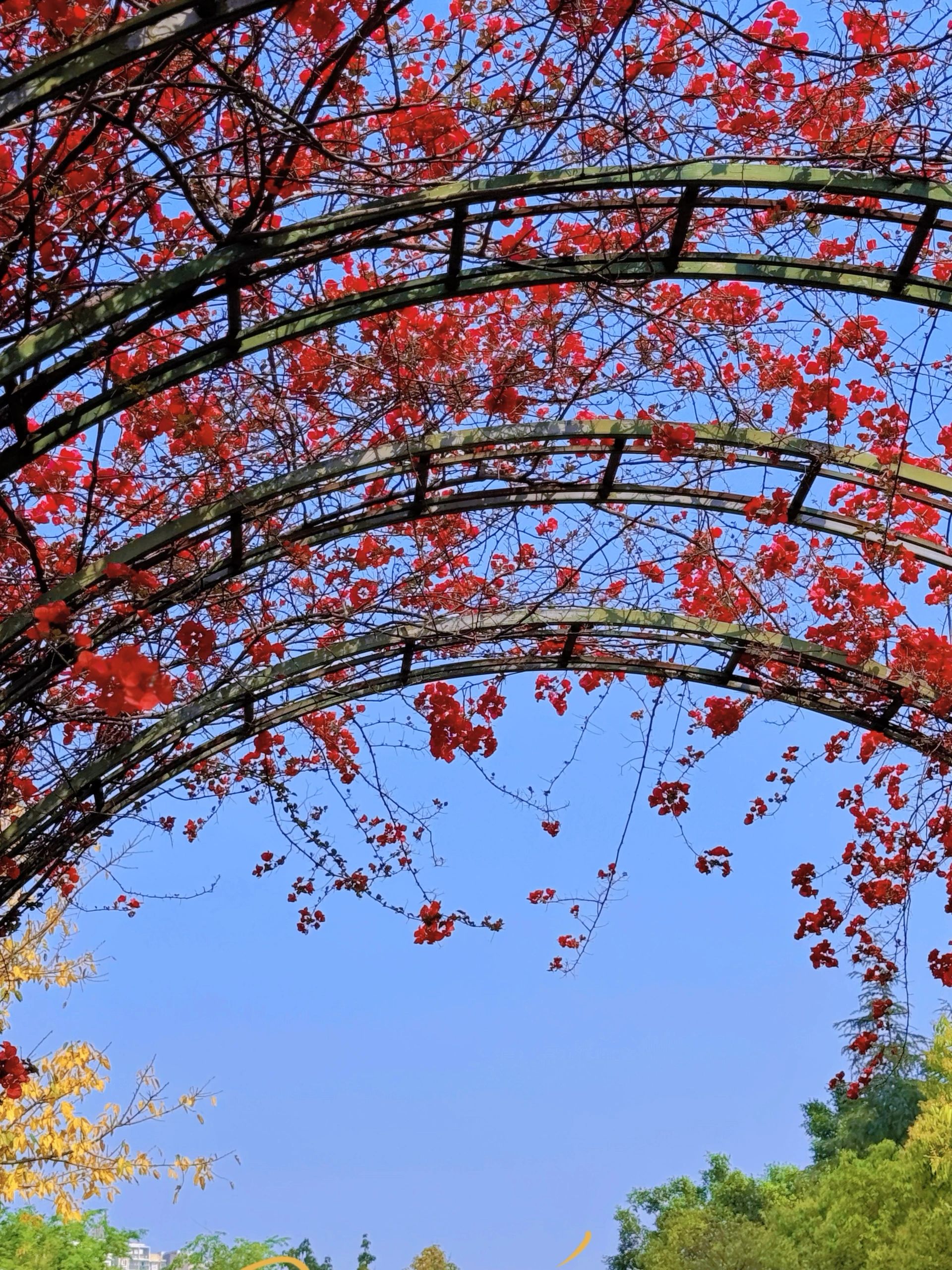 汇东公园旅行图片 2