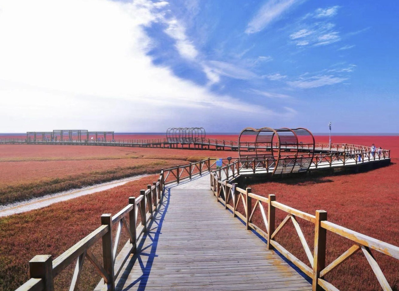 红海滩旅游风景区-天鹅湖旅行图片 3