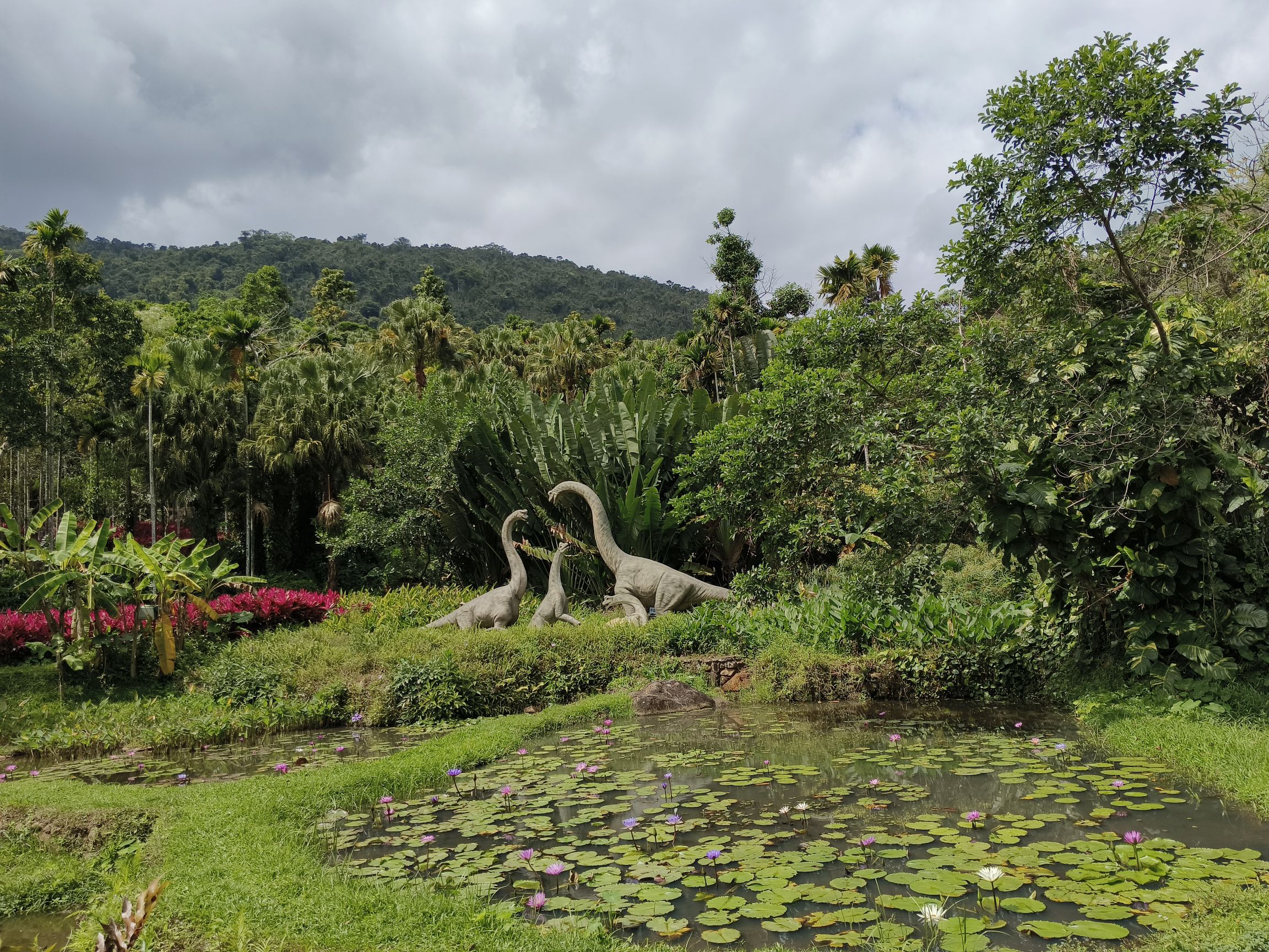 呀诺达雨林文化旅游区-蟒蛇馆