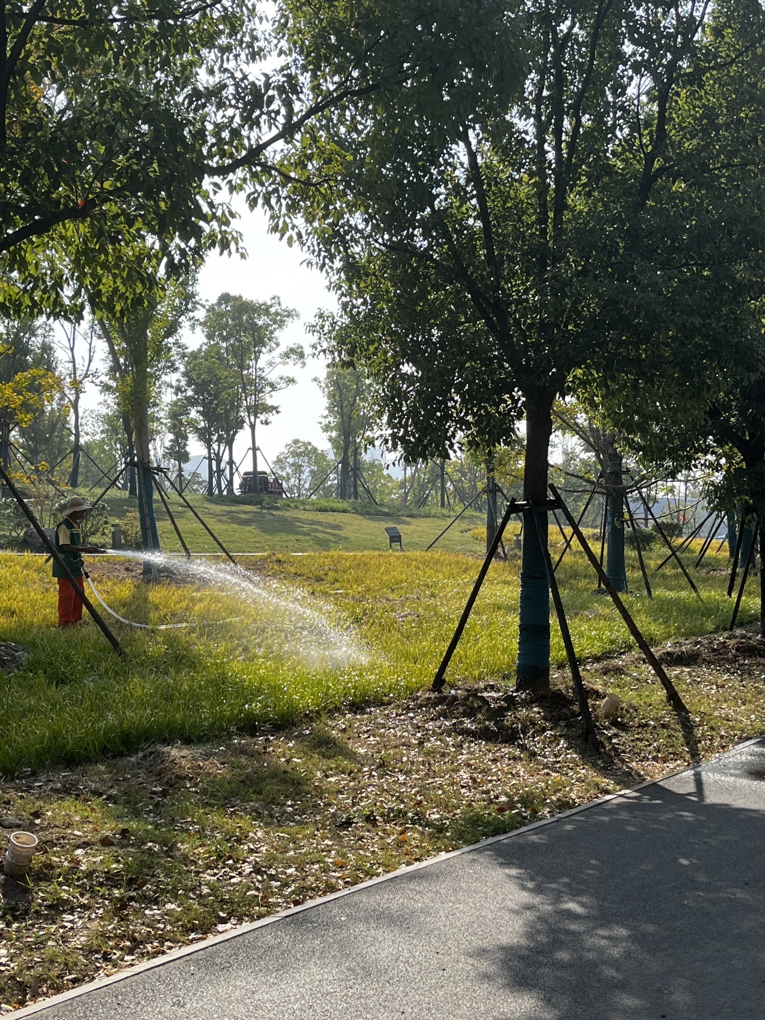 武汉市巡司河风情公园旅行图片 2
