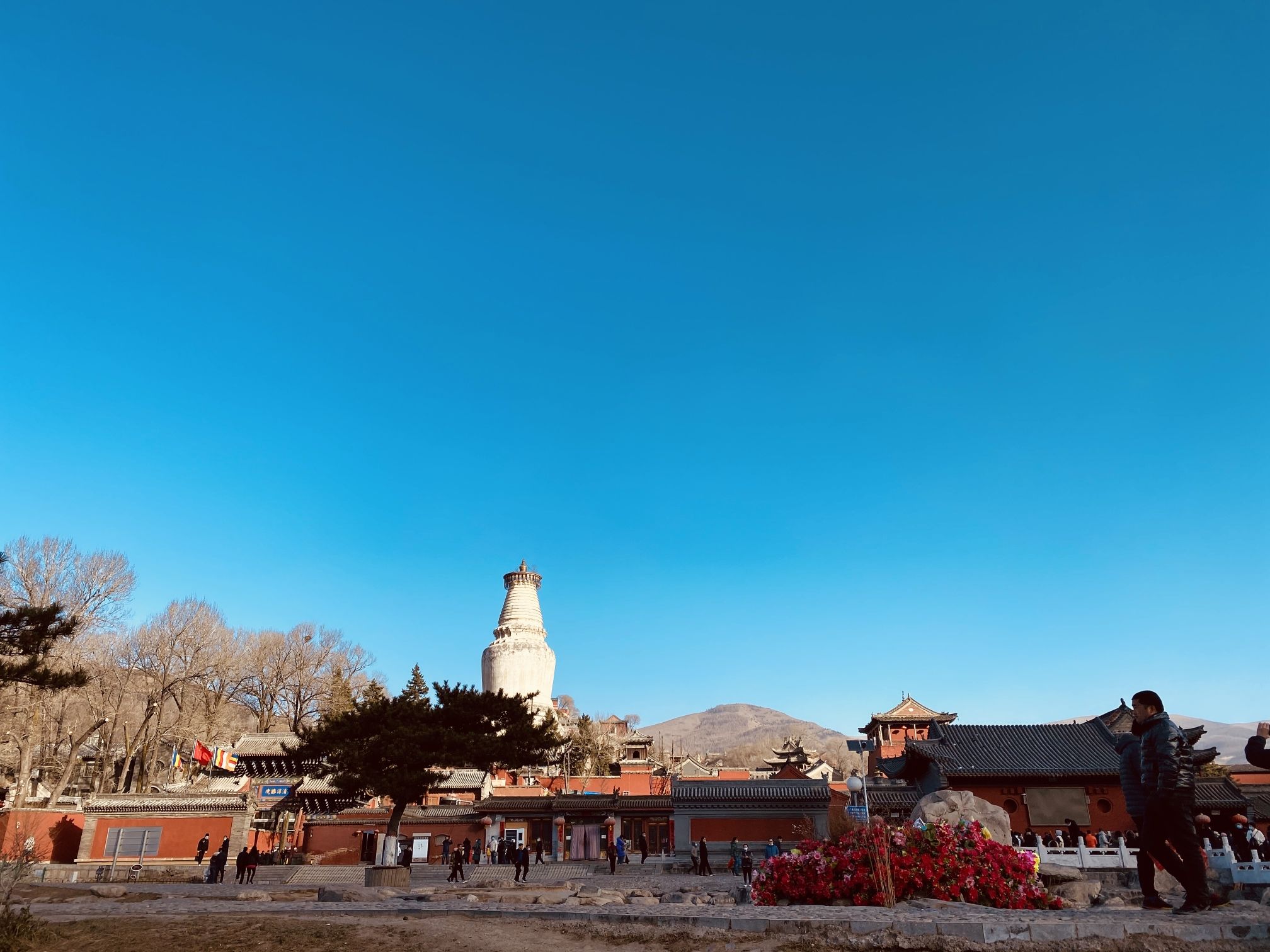 五台山风景名胜区-万佛阁戏楼实景照片