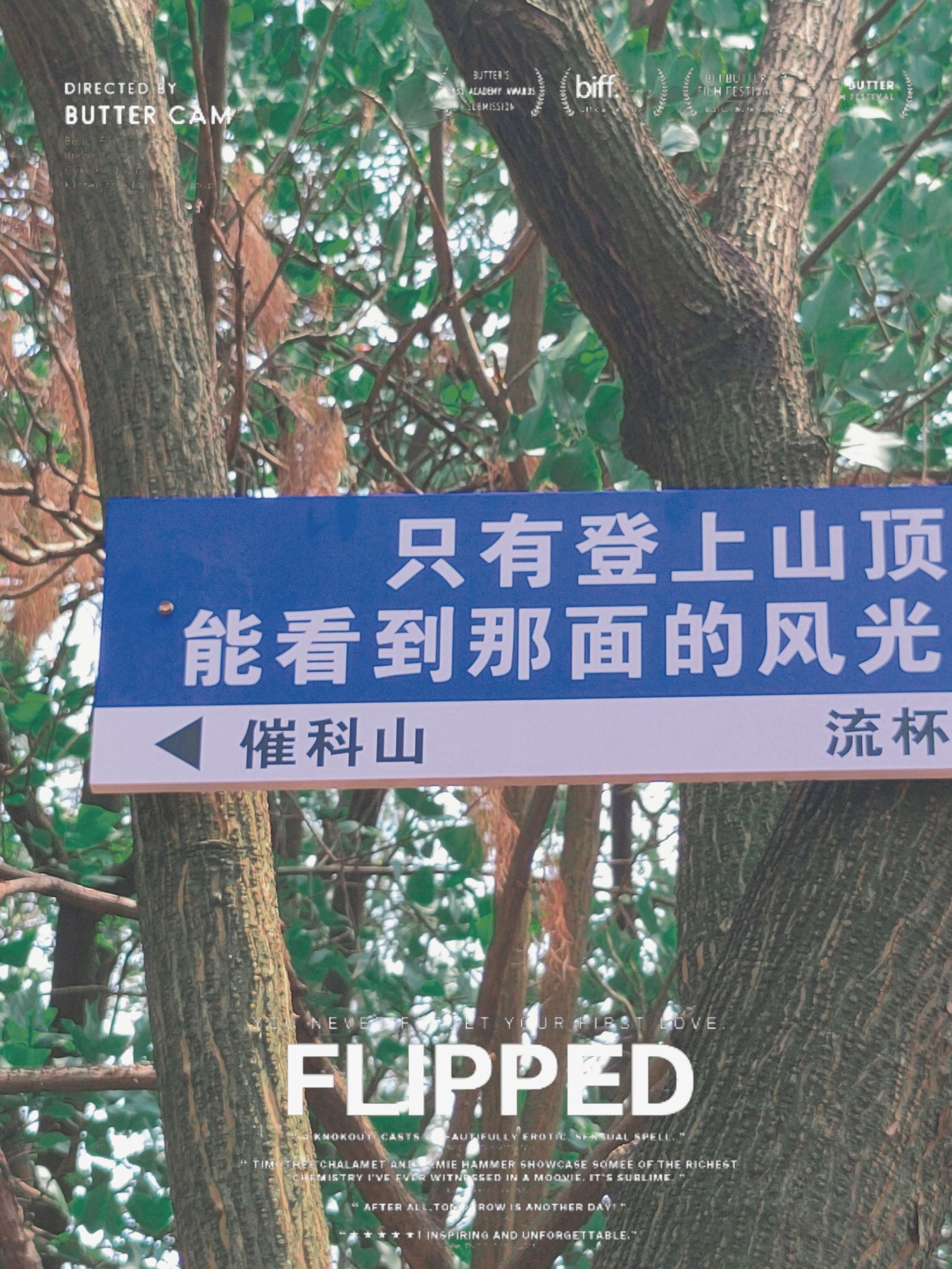 催科山景点图片