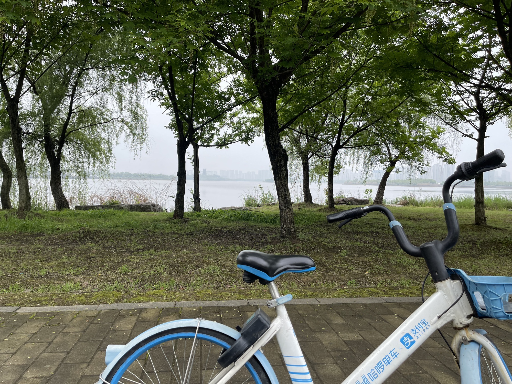 安徽宣城宛陵湖省级湿地公园旅行图片 2