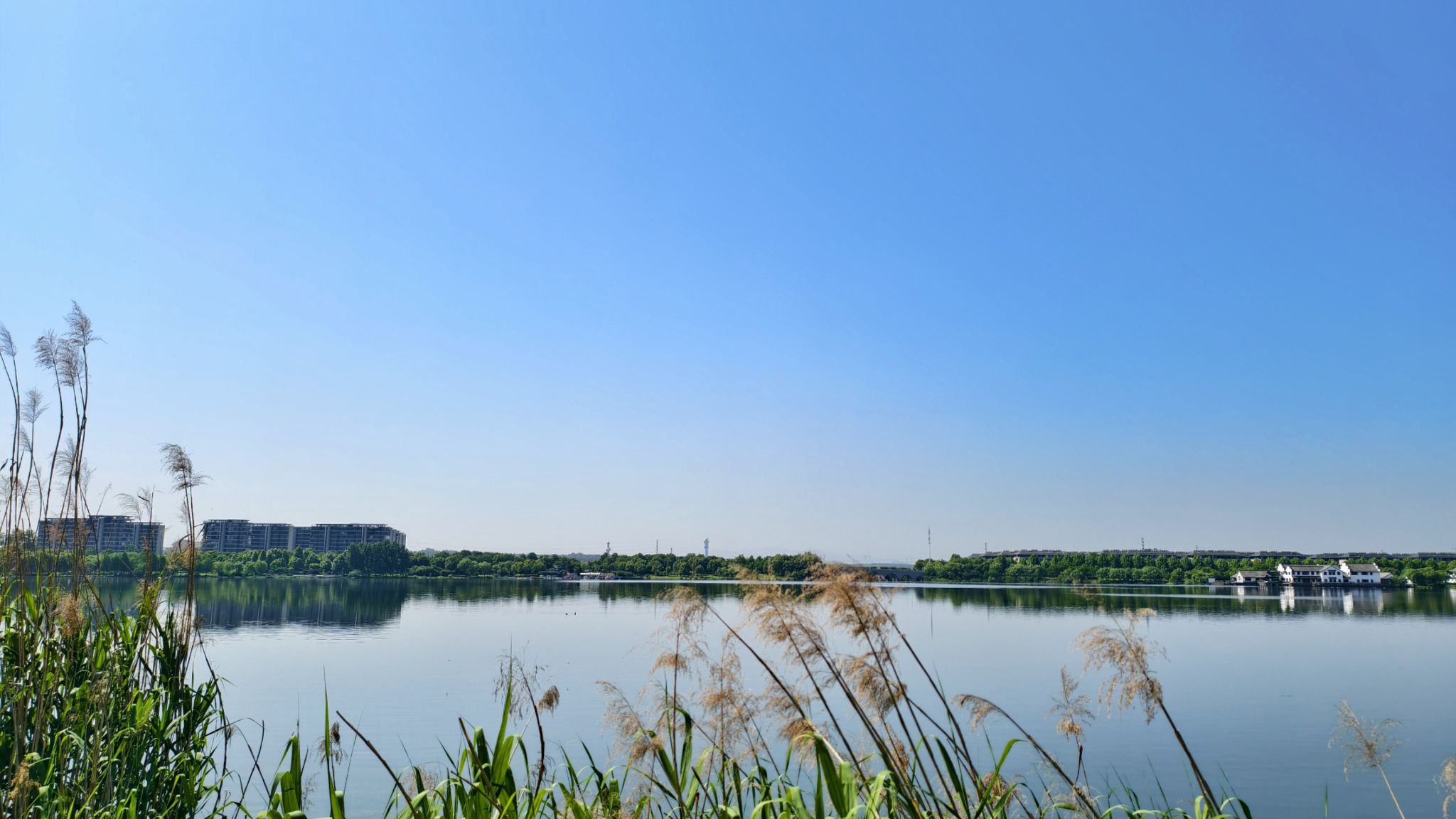 安徽宣城宛陵湖省级湿地公园