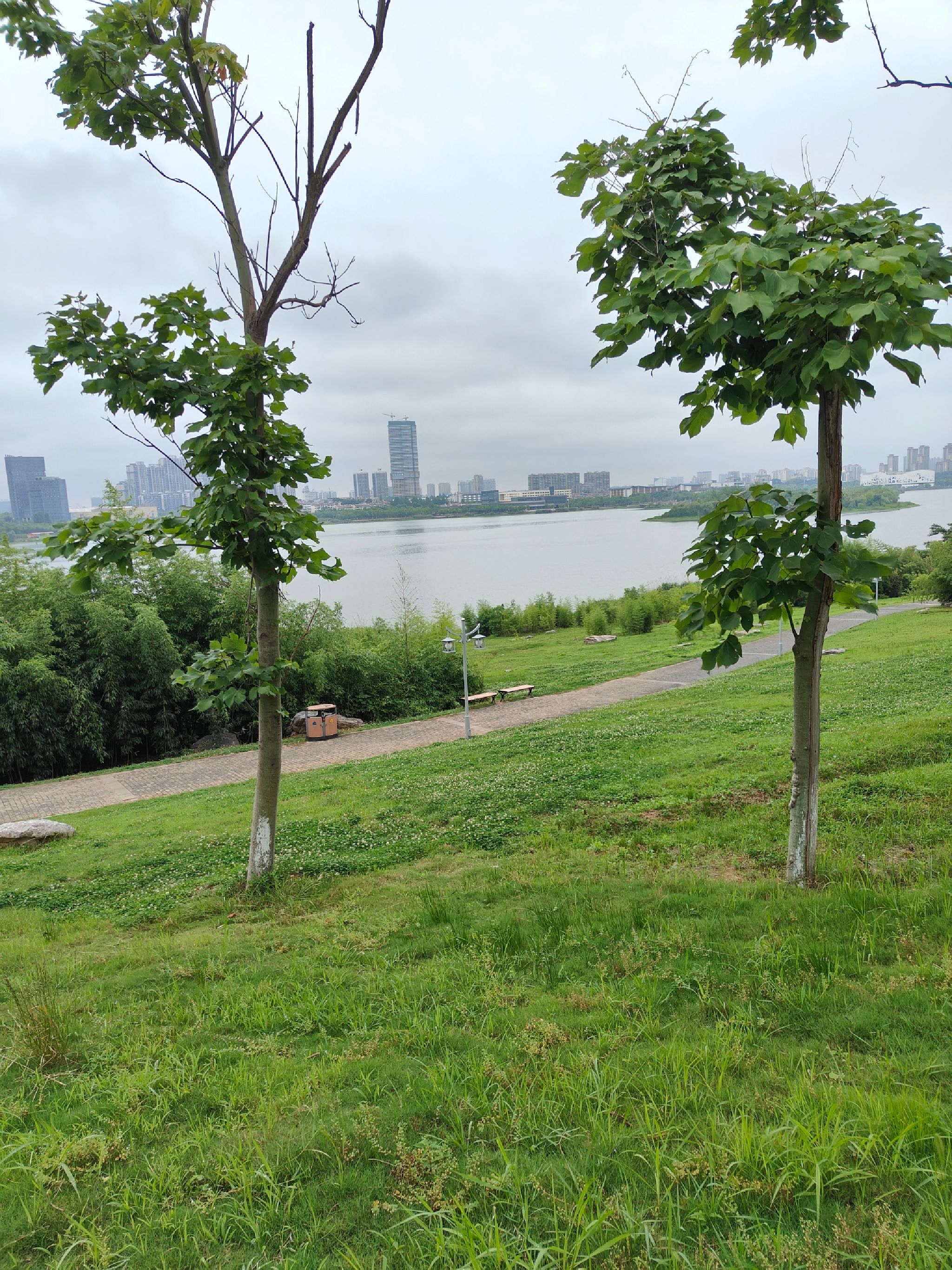安徽宣城宛陵湖省级湿地公园旅行图片 1