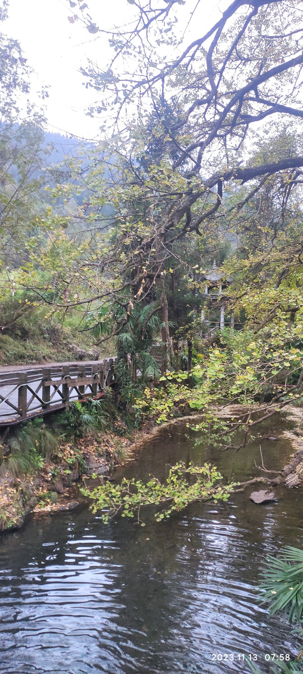 妥乐古银杏旅游景区旅行图片 2