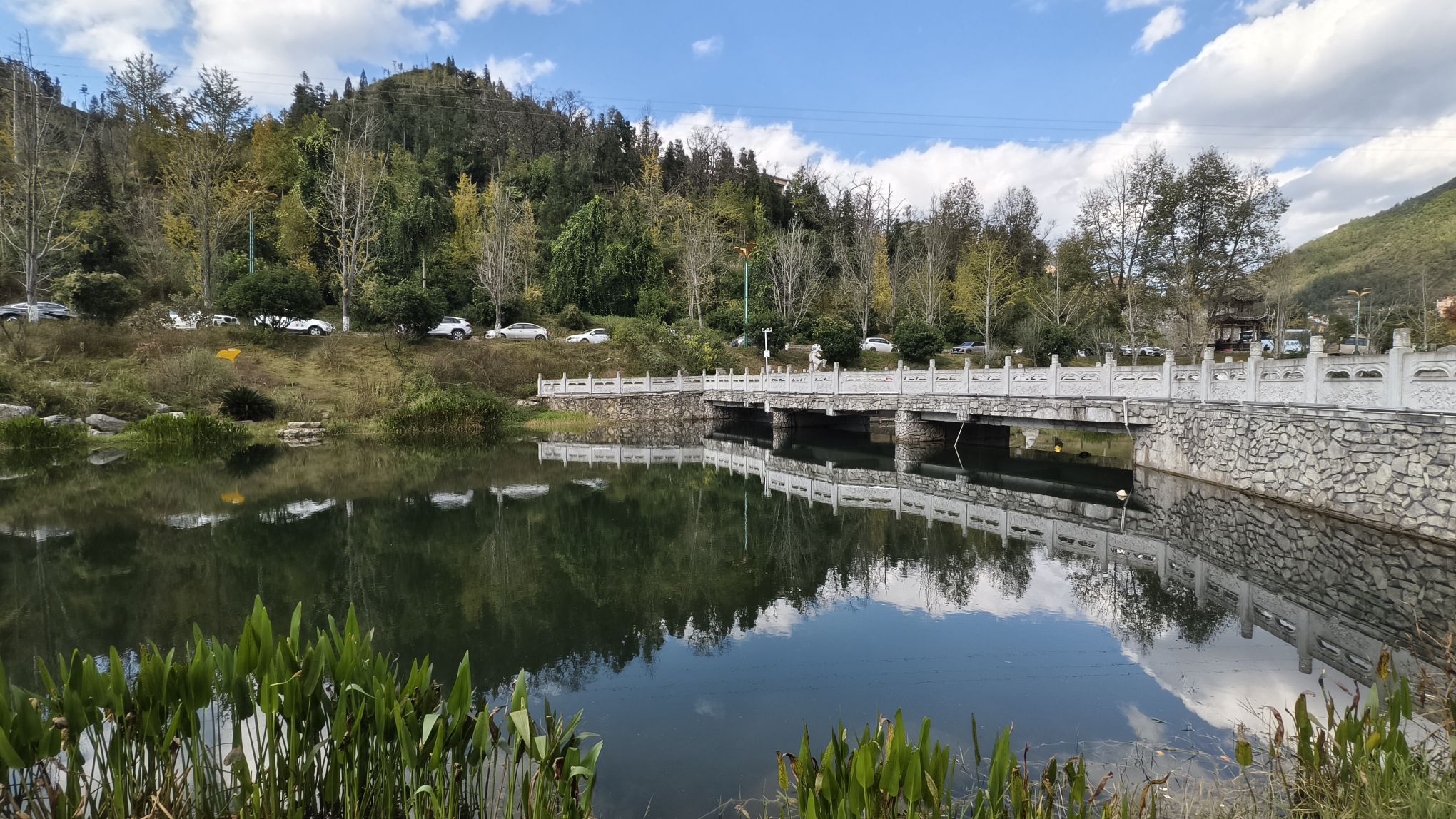 妥乐古银杏旅游景区旅行图片 1