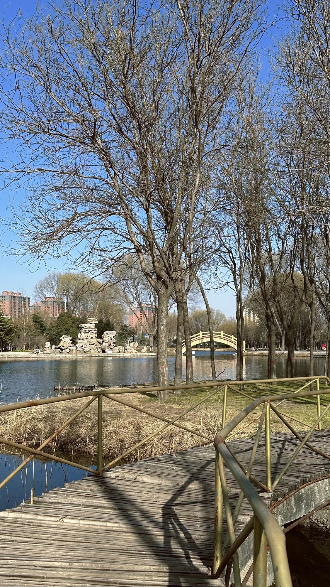 兴和园旅行图片 2