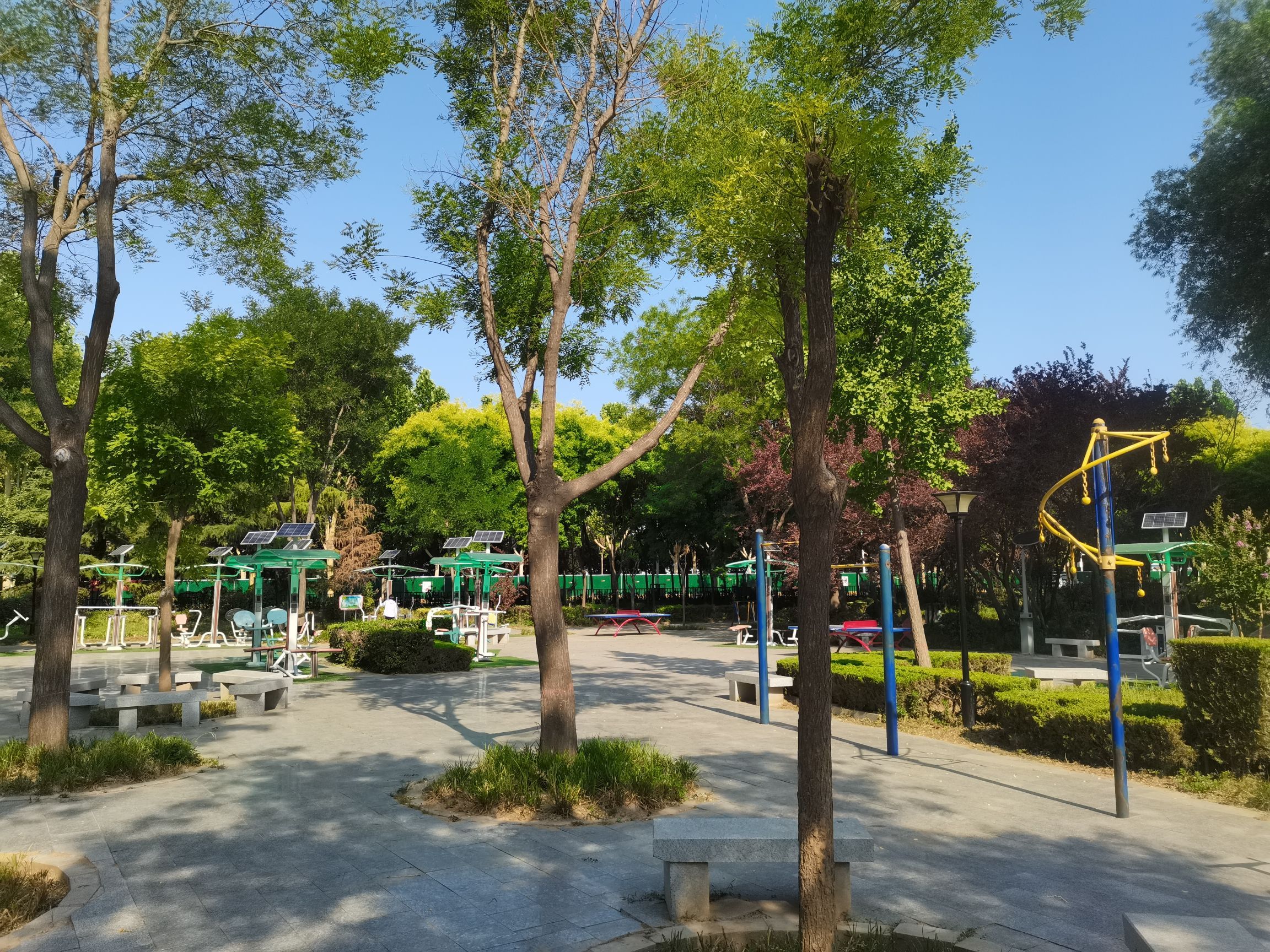 兴和园旅行图片 3