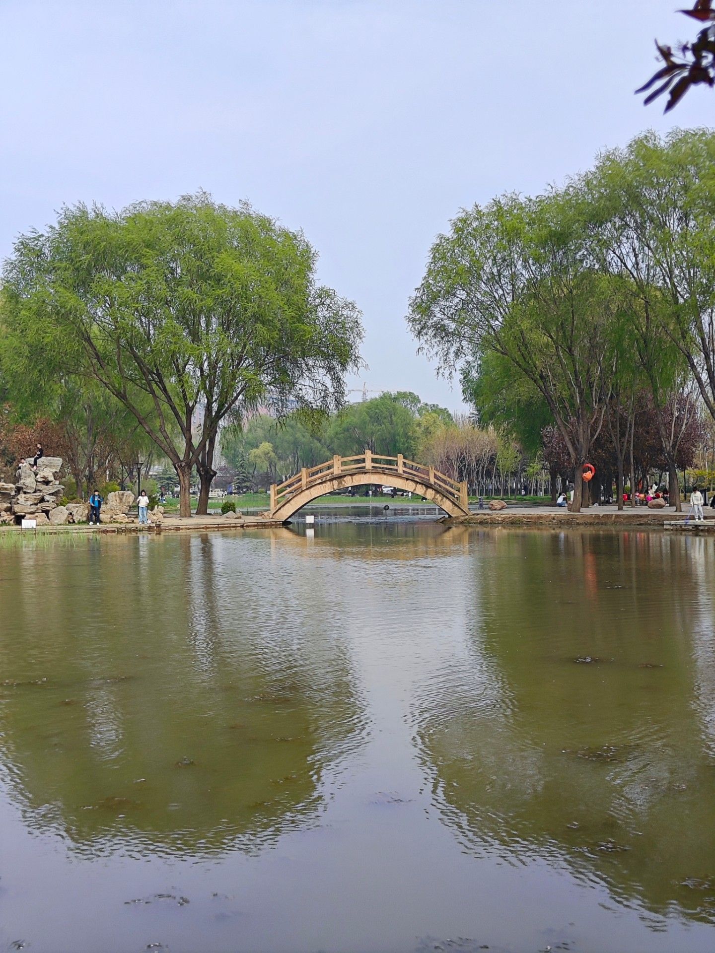 兴和园旅行图片 1