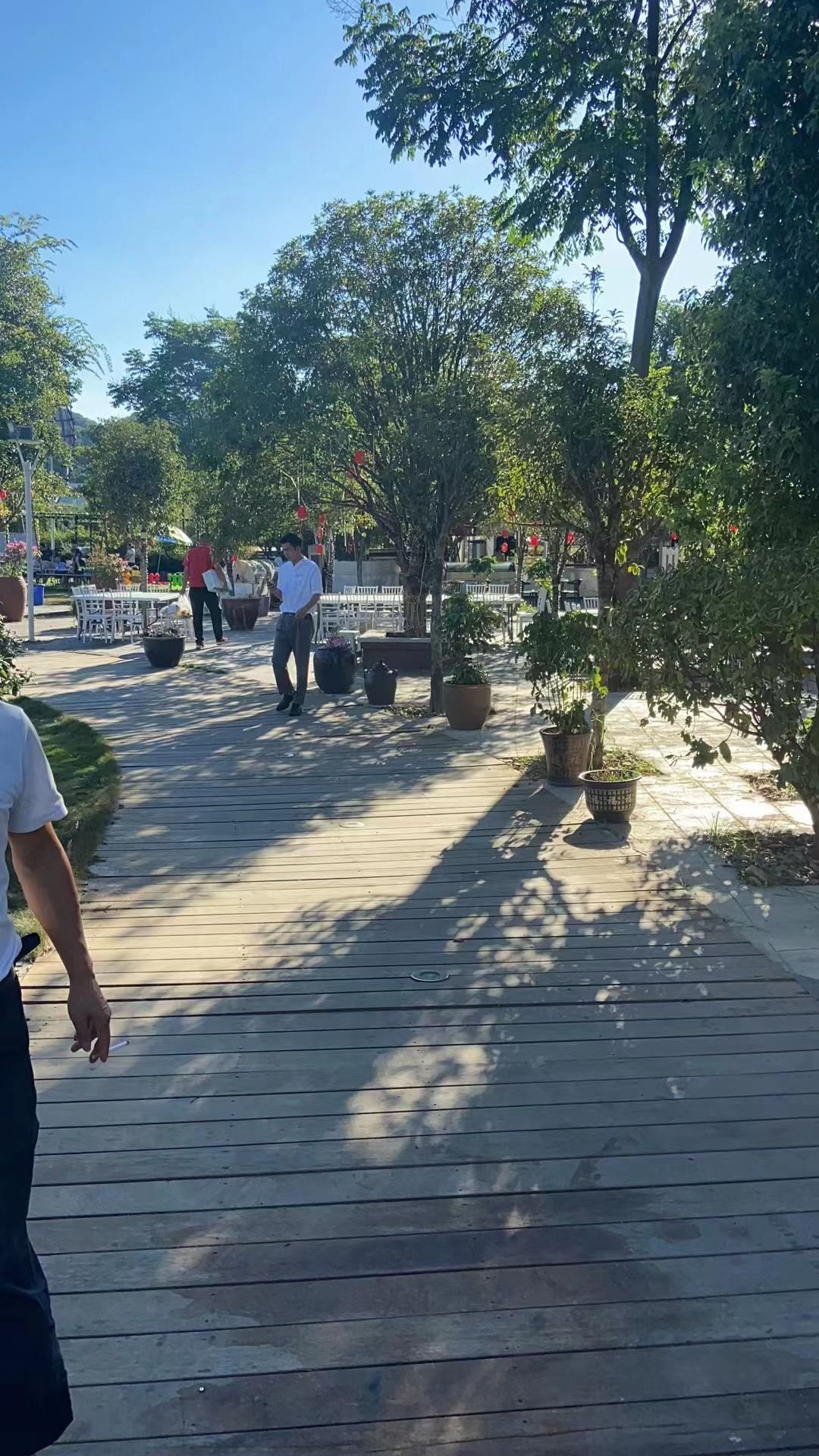 农趣谷森林公园旅行图片 3