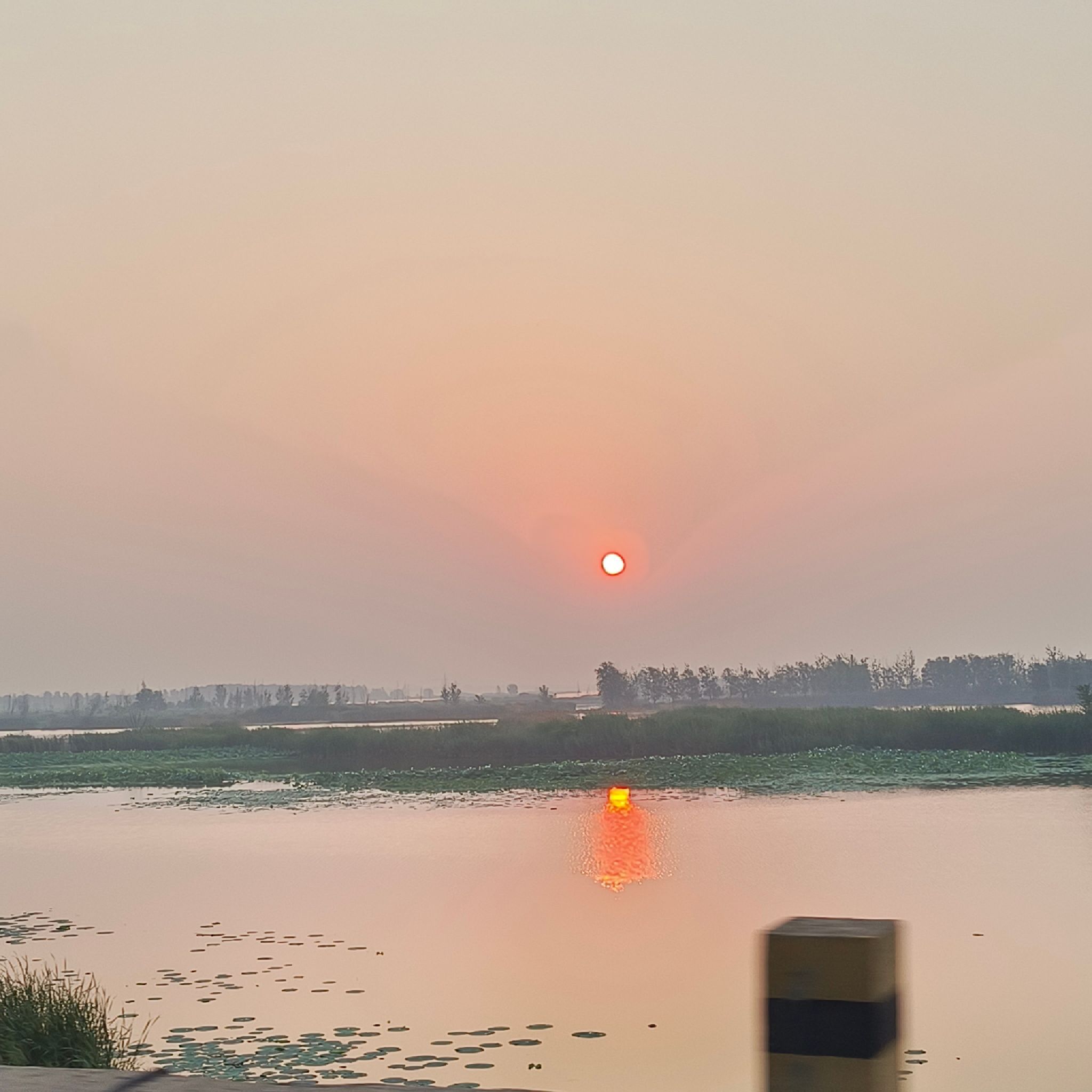 浮龙湖旅游度假区旅行图片 1