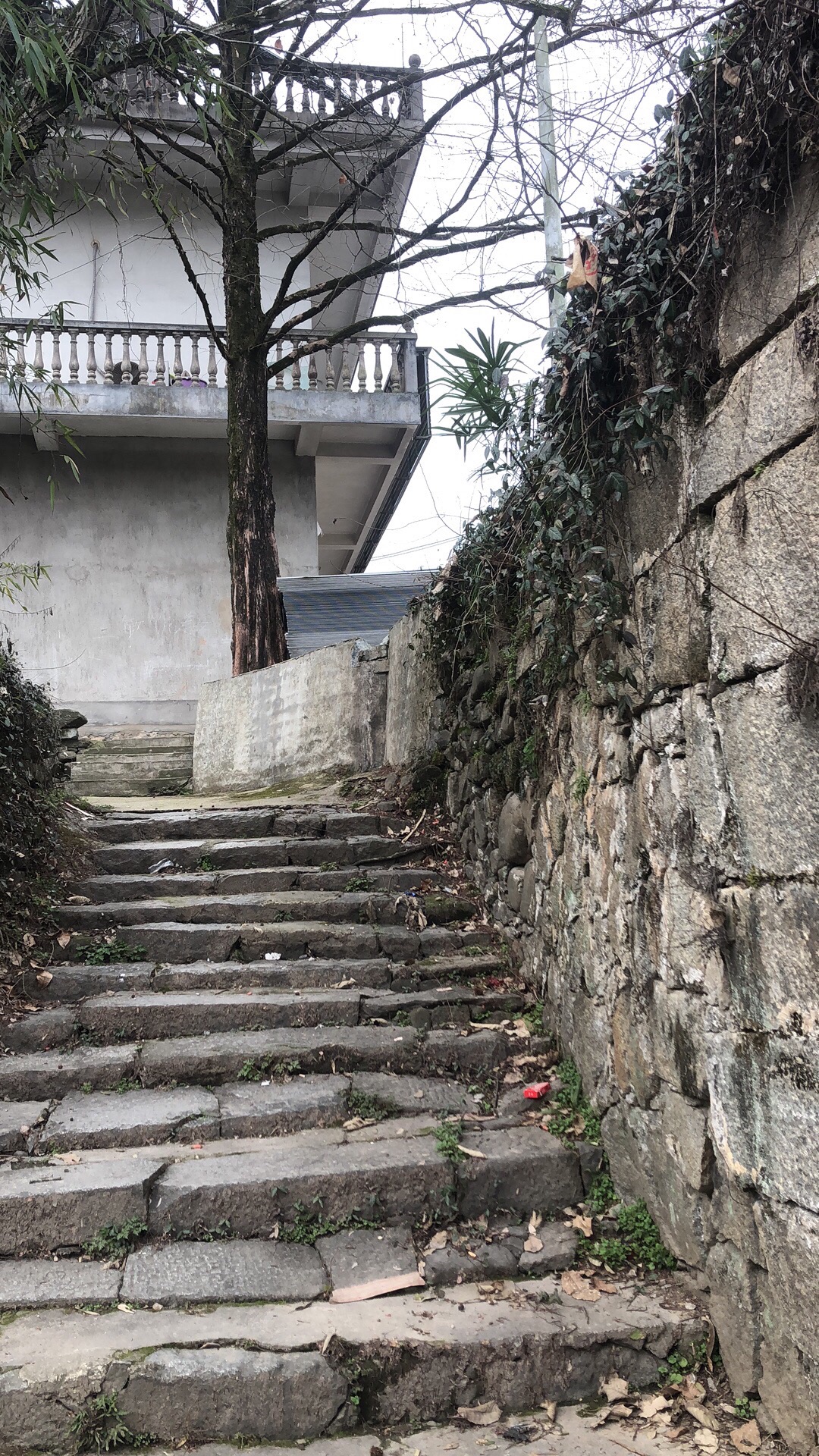 表灵塔旅行图片 1