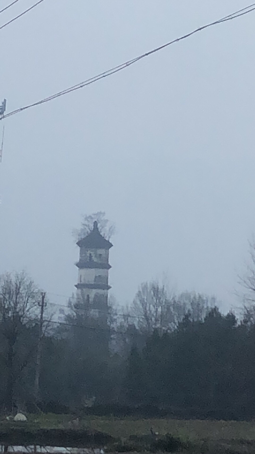 表灵塔旅行图片 2