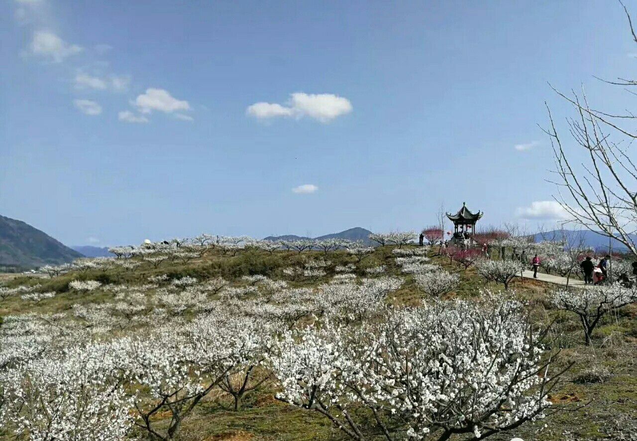 表灵塔旅行图片 2