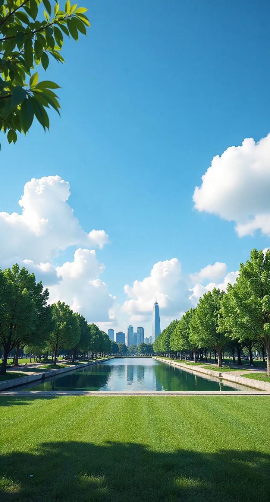 深圳中心公园-大草坪