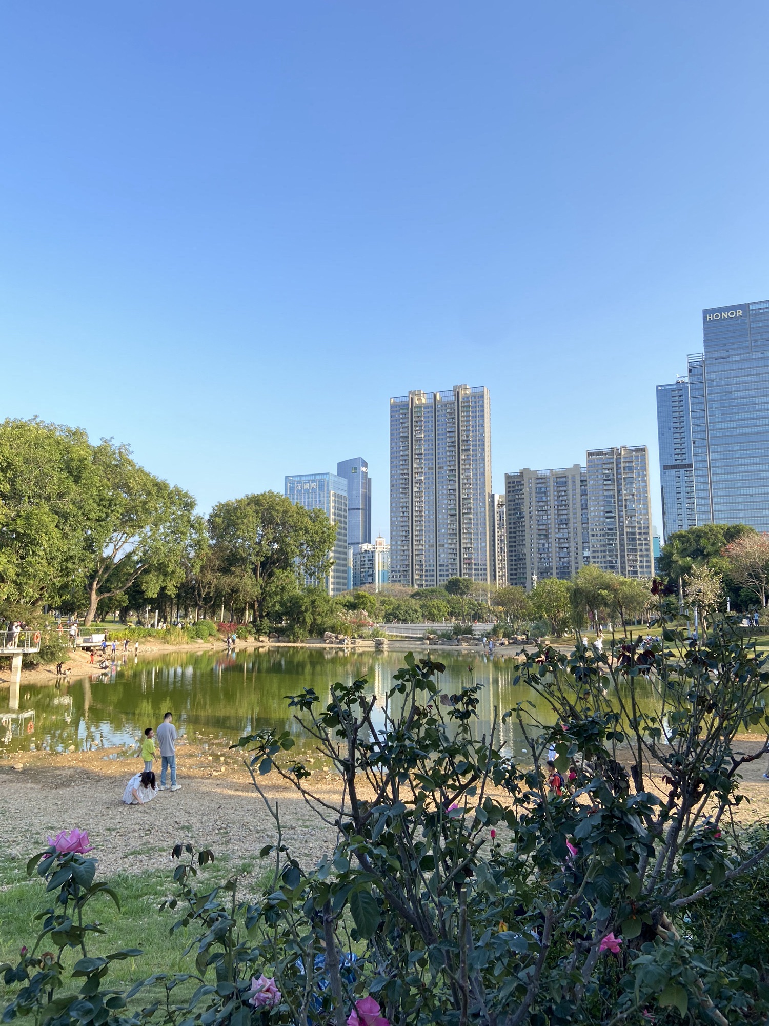 香蜜公园旅行图片 3