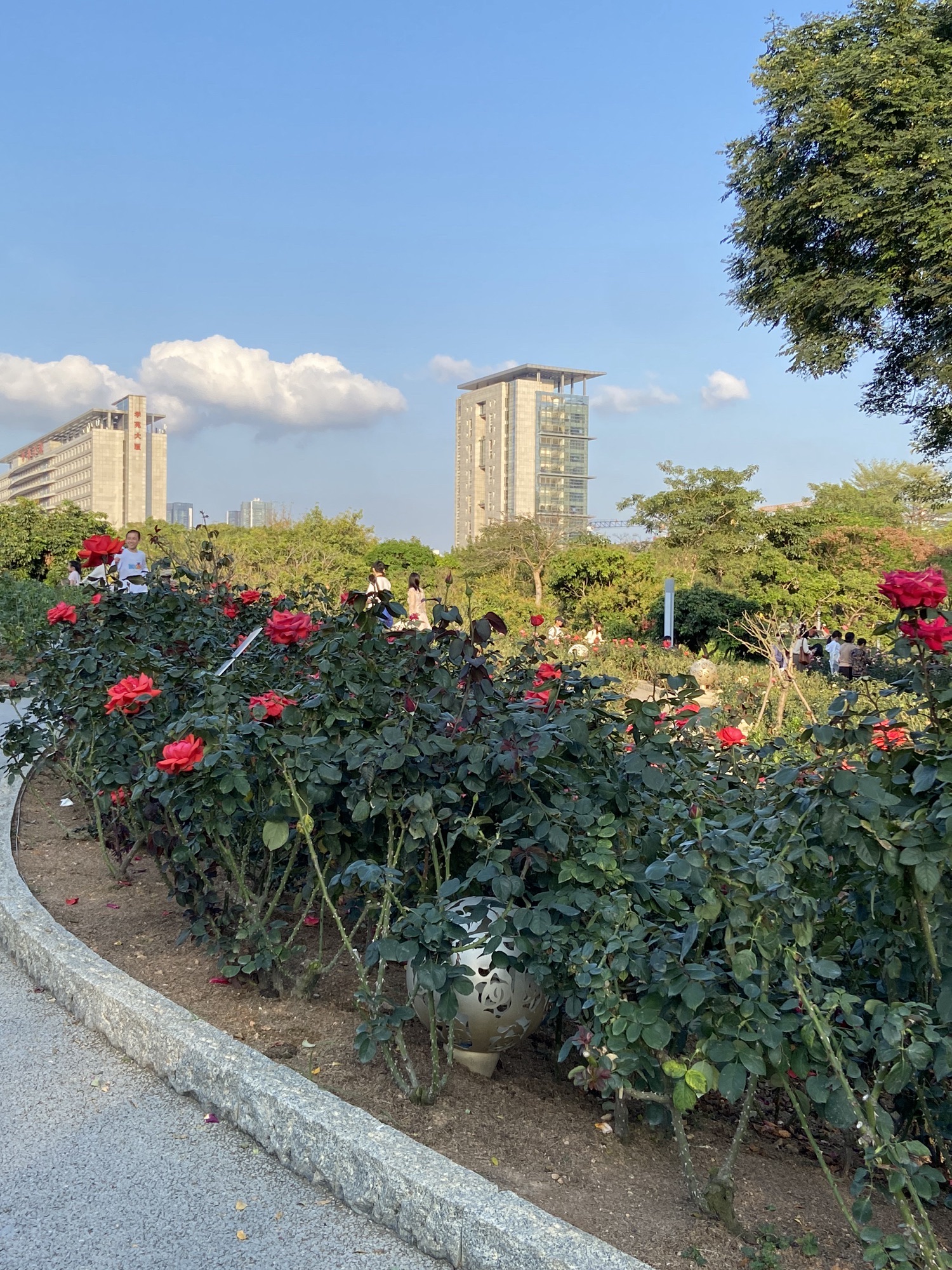 香蜜公园旅行图片 1