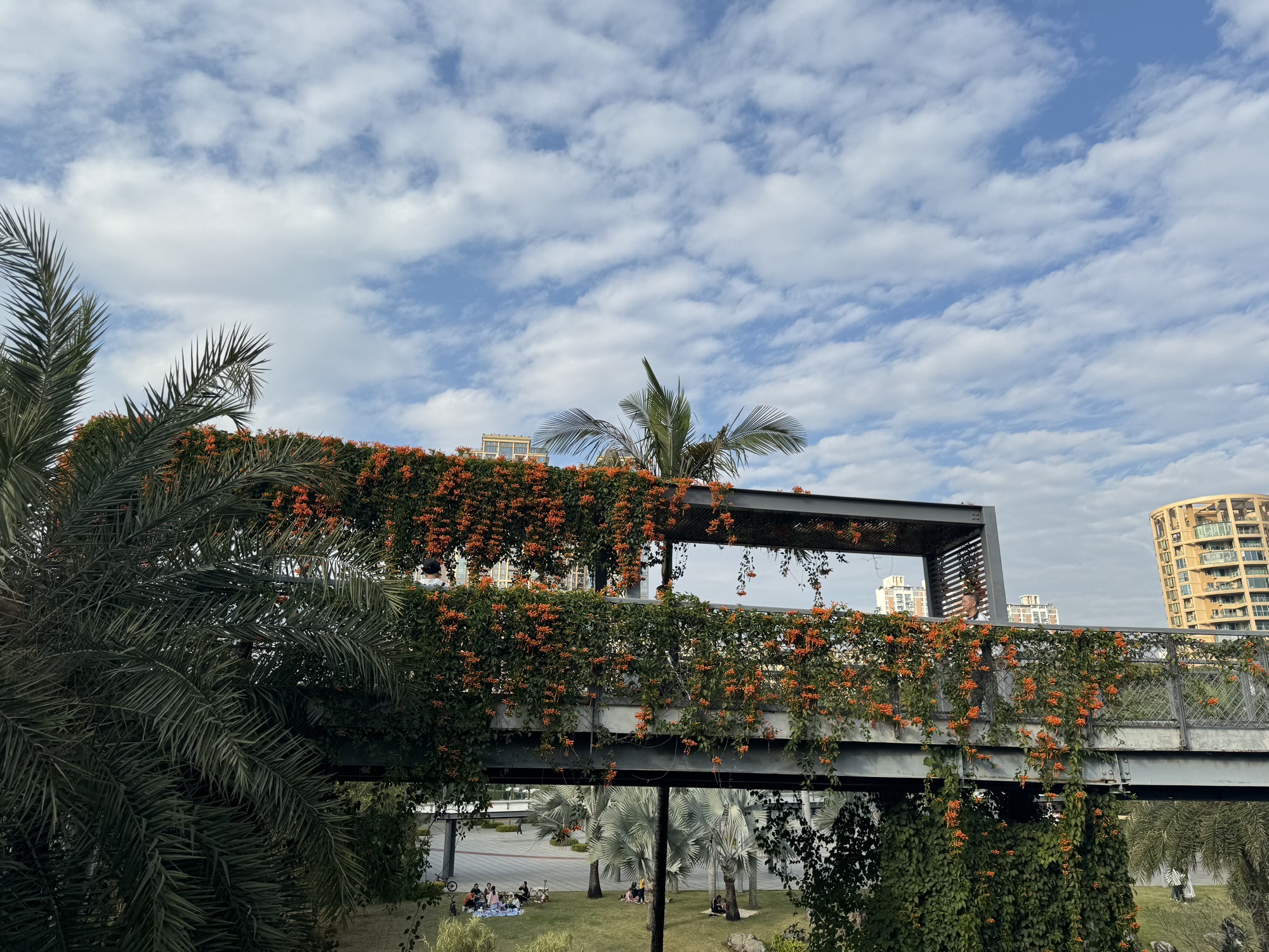 香蜜公园旅行图片 3
